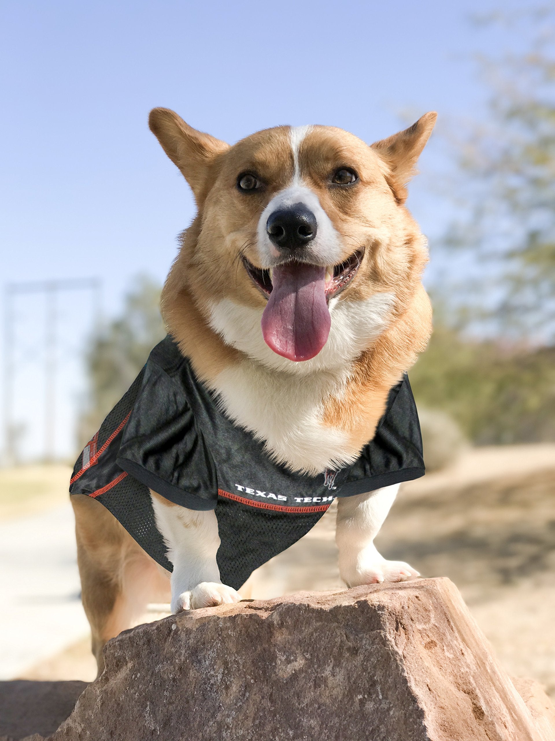 Pets First NCAA College Texas Tech Red Raiders Mesh Jersey for DOGS & CATS, X-Small. Licensed Dog Jersey with your Favorite Foot