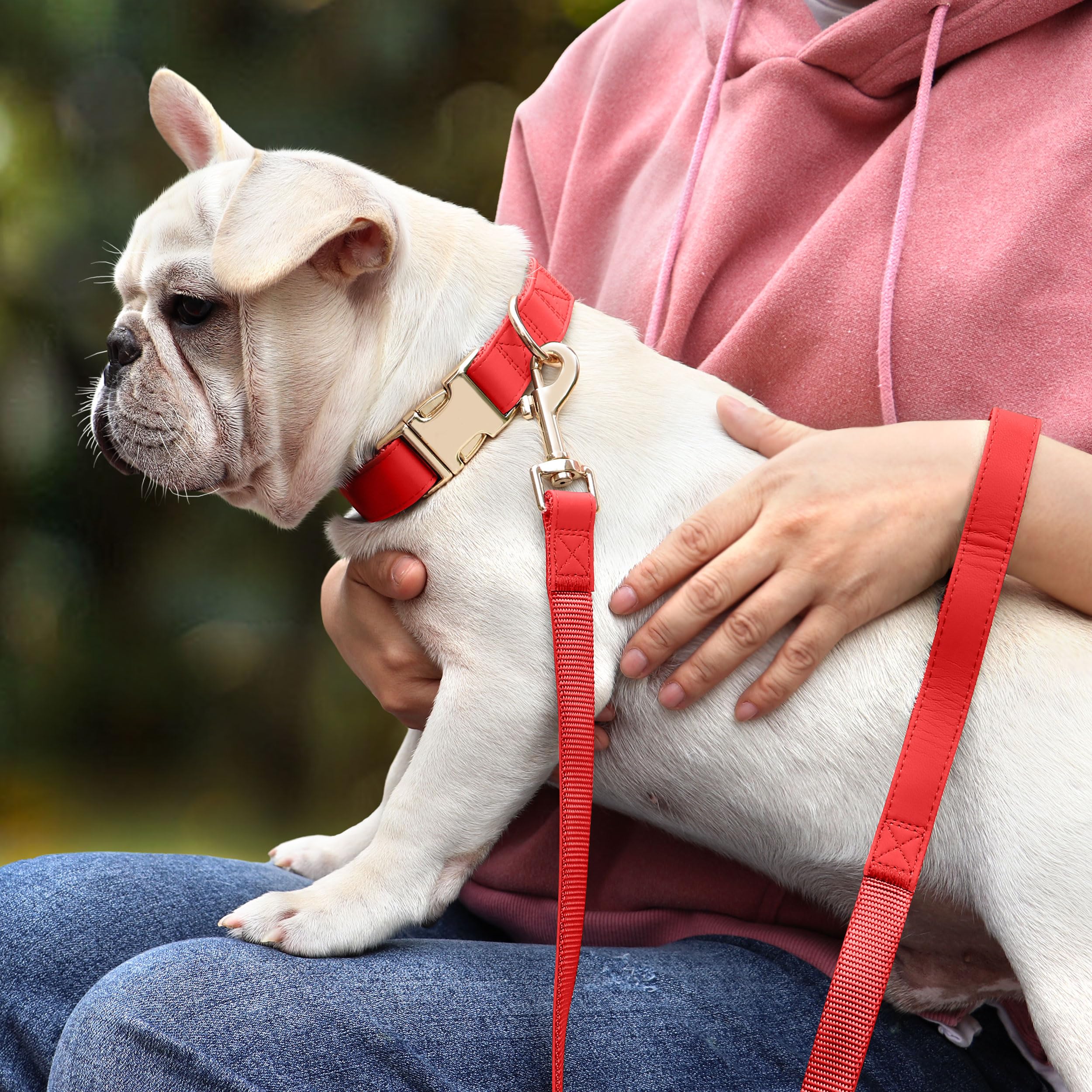 Pet Artist Charming Nylon Dog Collar With Leather Soft Comfy Elegant Nylon Collars For Dogs Small Medium Large 4 Bright Solid Color For Choosing Blue Red Brown Grey (Red,Neck Fit 9-14'')