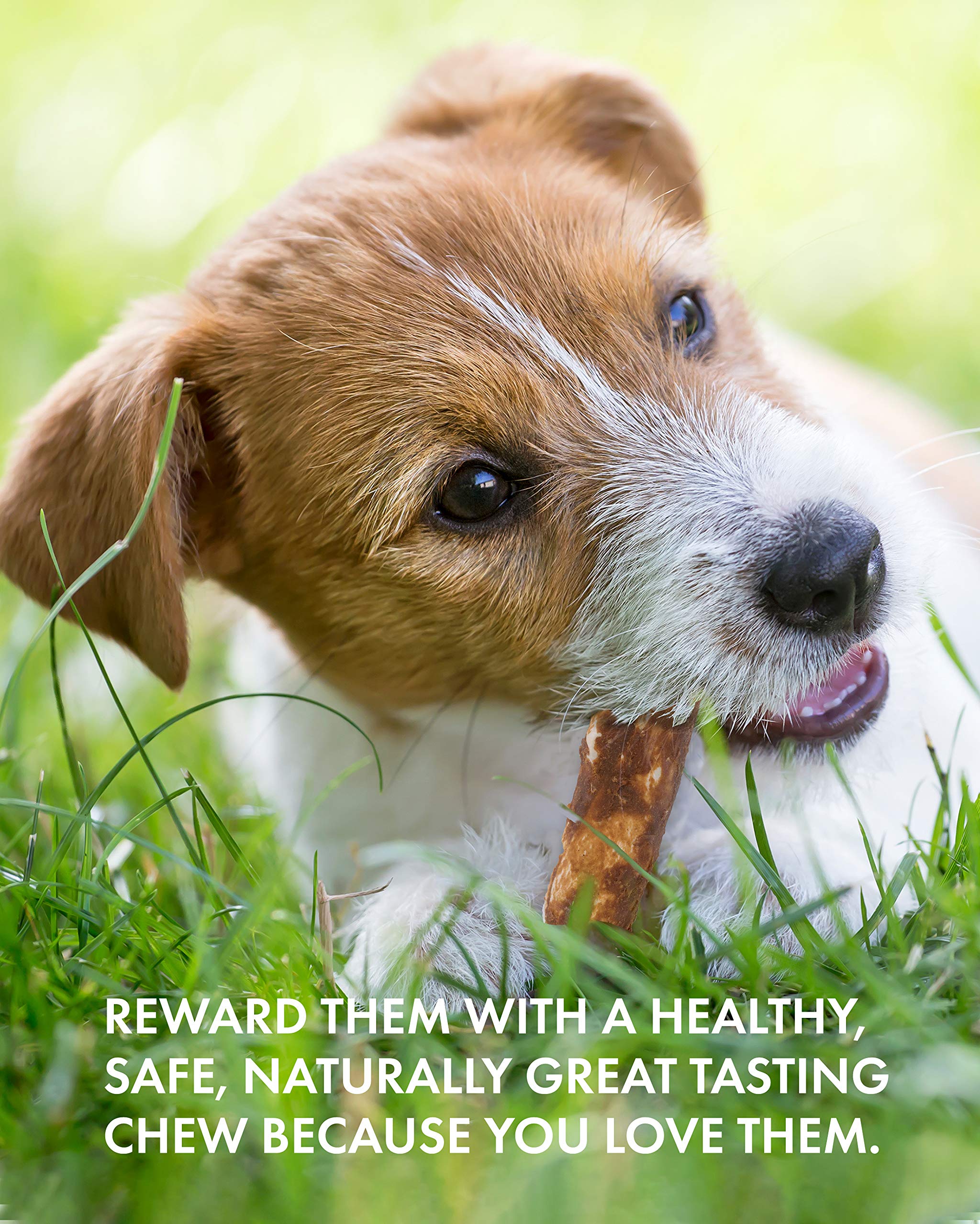 Canine Naturals Peanut Butter Chew - 100% Rawhide Free Dog Treats - Made with Real Peanut Butter - All-Natural and Easily Digest