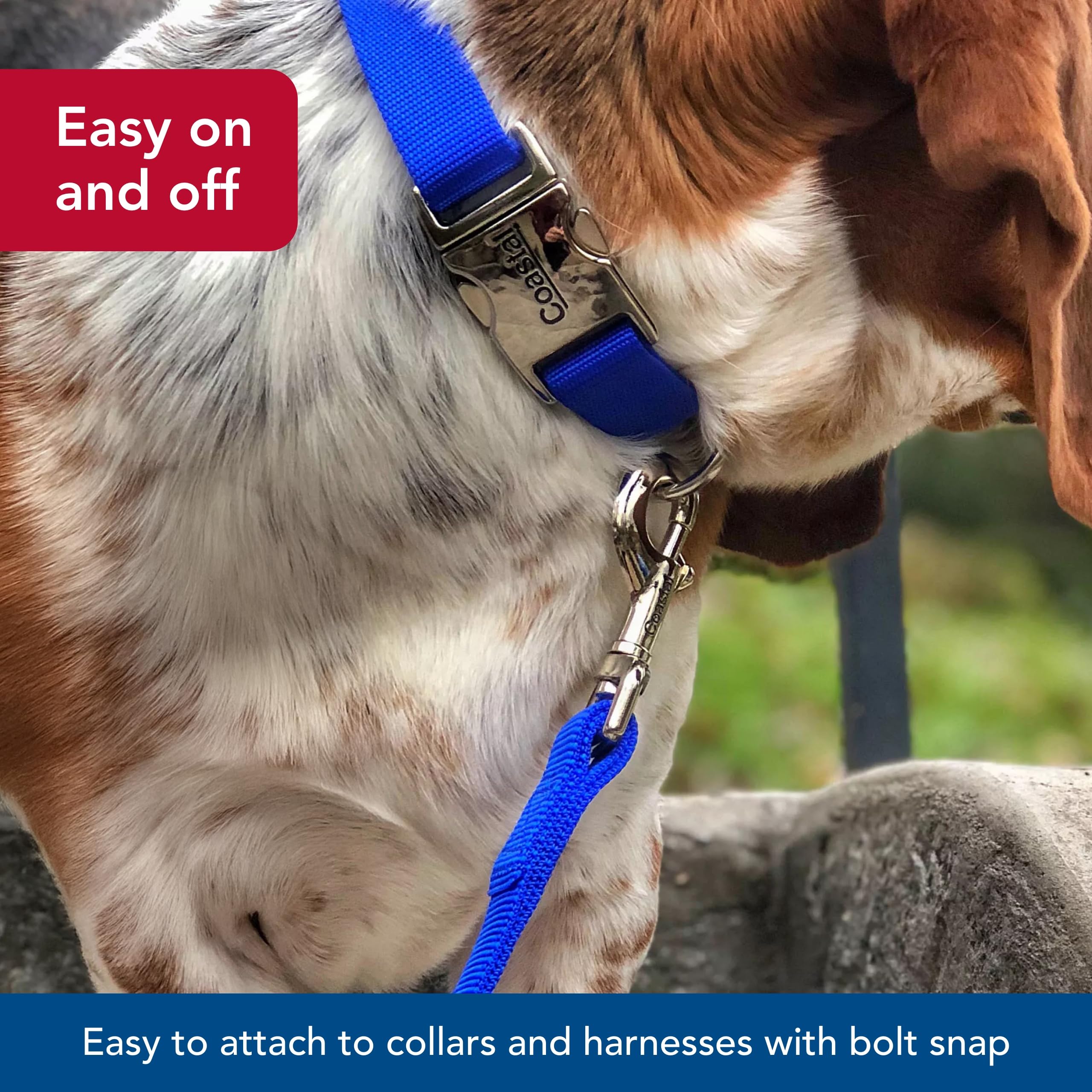 Coastal Pet Double-Ply Dog Leash - Bolt Snap Attachment to Collars and Harnesses - Nylon Dog Walking Leash for Small, Medium and