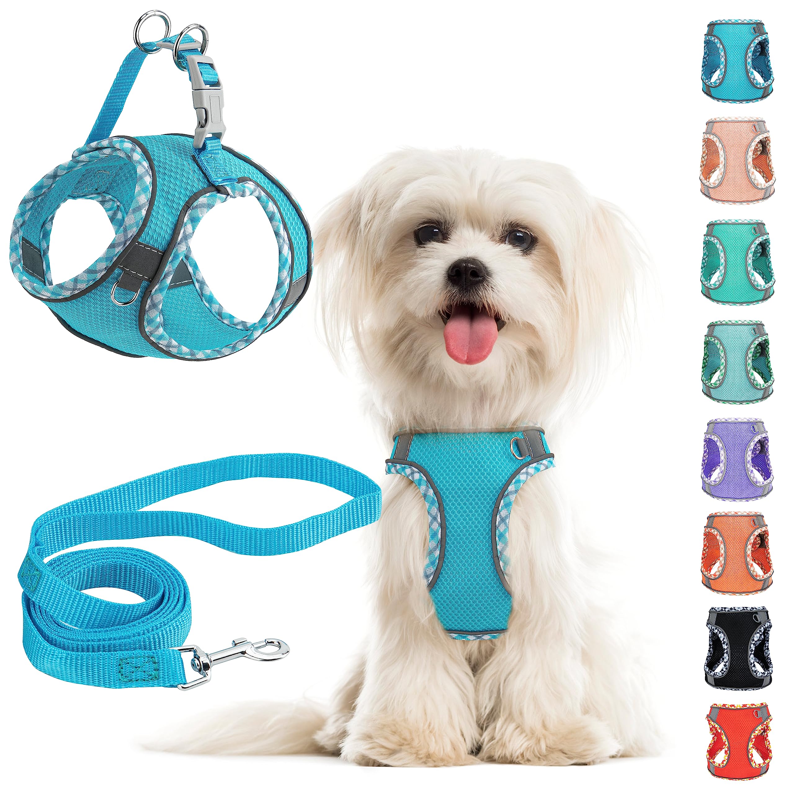 Blueberry Small/Medium Dog Harness and Leash Set - No Pull, Reflective, Breathable Mesh, Easy Walk, Outdoor Hiking, Training (Bl