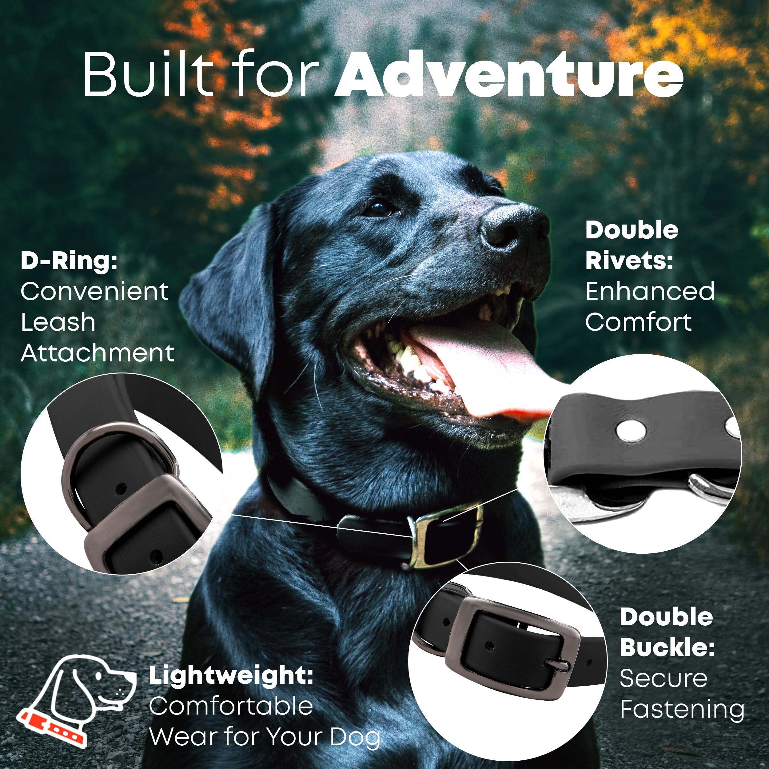 Regal Dog Products Small Black Dog Collar With Heavy Duty Double Buckle & D Ring | Vinyl Coated, Custom Fit, Adjustable Biothane