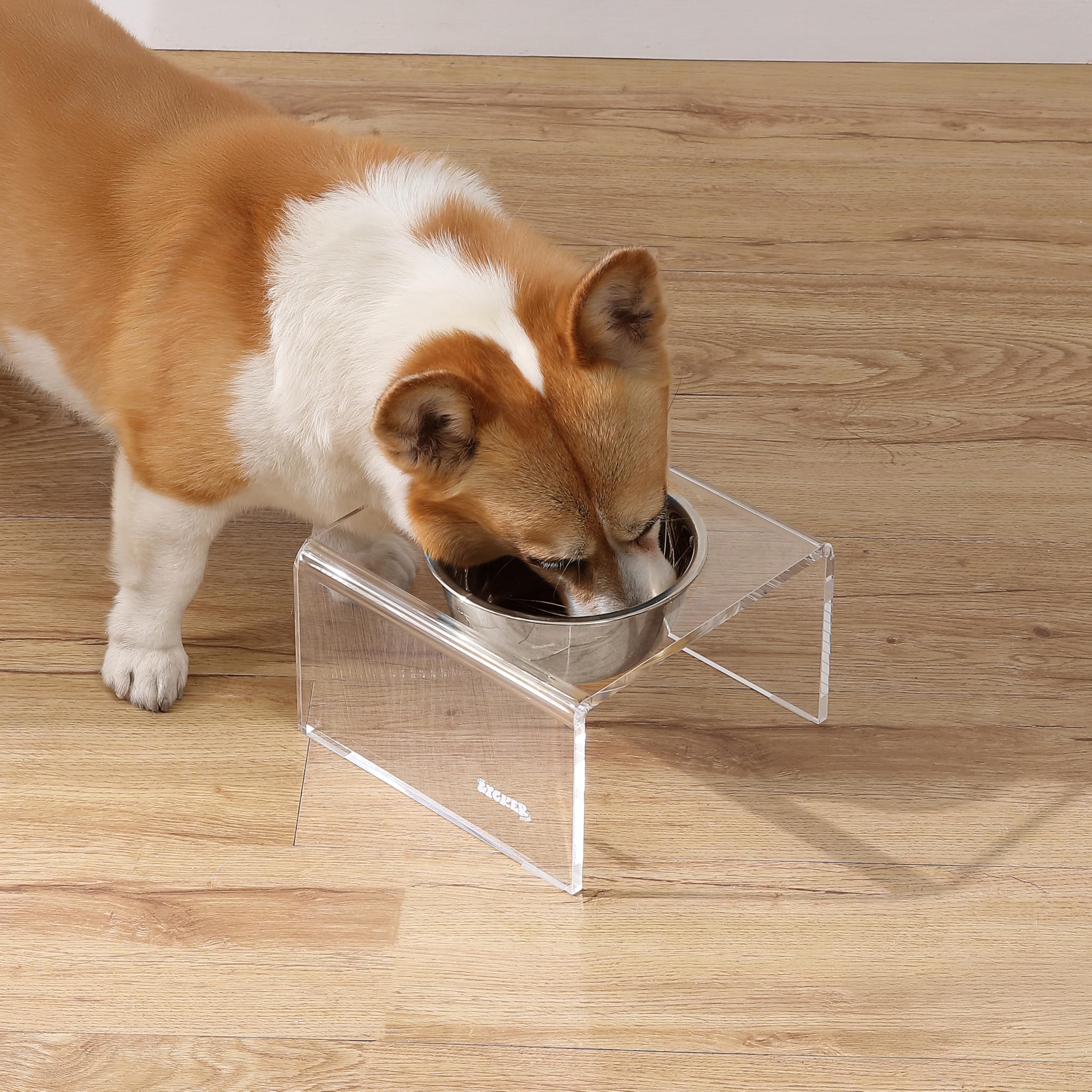 The LICKER Store DBL2002A Keaton 5 Small/Medium Modern Acrylic Rectangular Elevated Pet Feeder with 20oz 1-Stainless Steel Bowl,