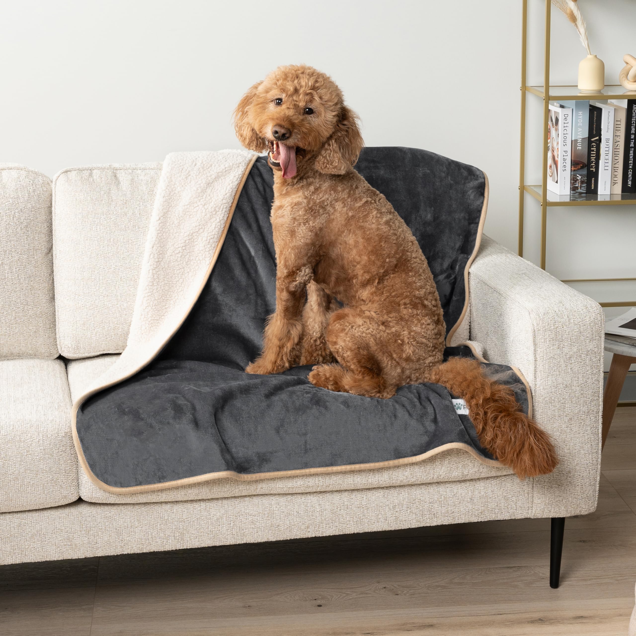 Petami Waterproof Dog Blanket For Medium Large Dogs, Pee Proof Pet Blanket For Bed Couch, Reversible Water Proof Blanket For Puppy Indoor Cat, Soft Dog Pee Crate Cover Washable, 60X80 Gray/Beige