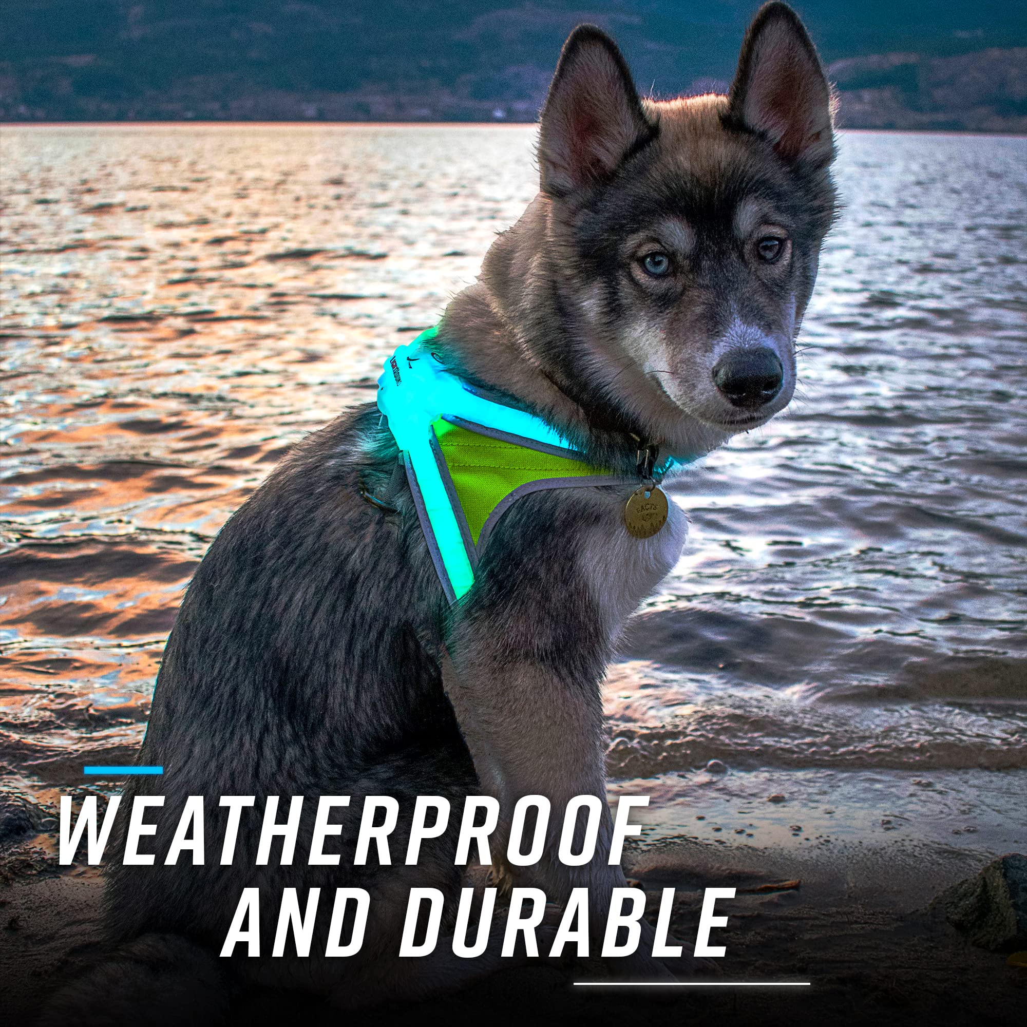 Noxgear LightHound (Large) + High-Visibility Dog Leash - Illuminated and Reflective Harness for Dogs Including Multicolored LED