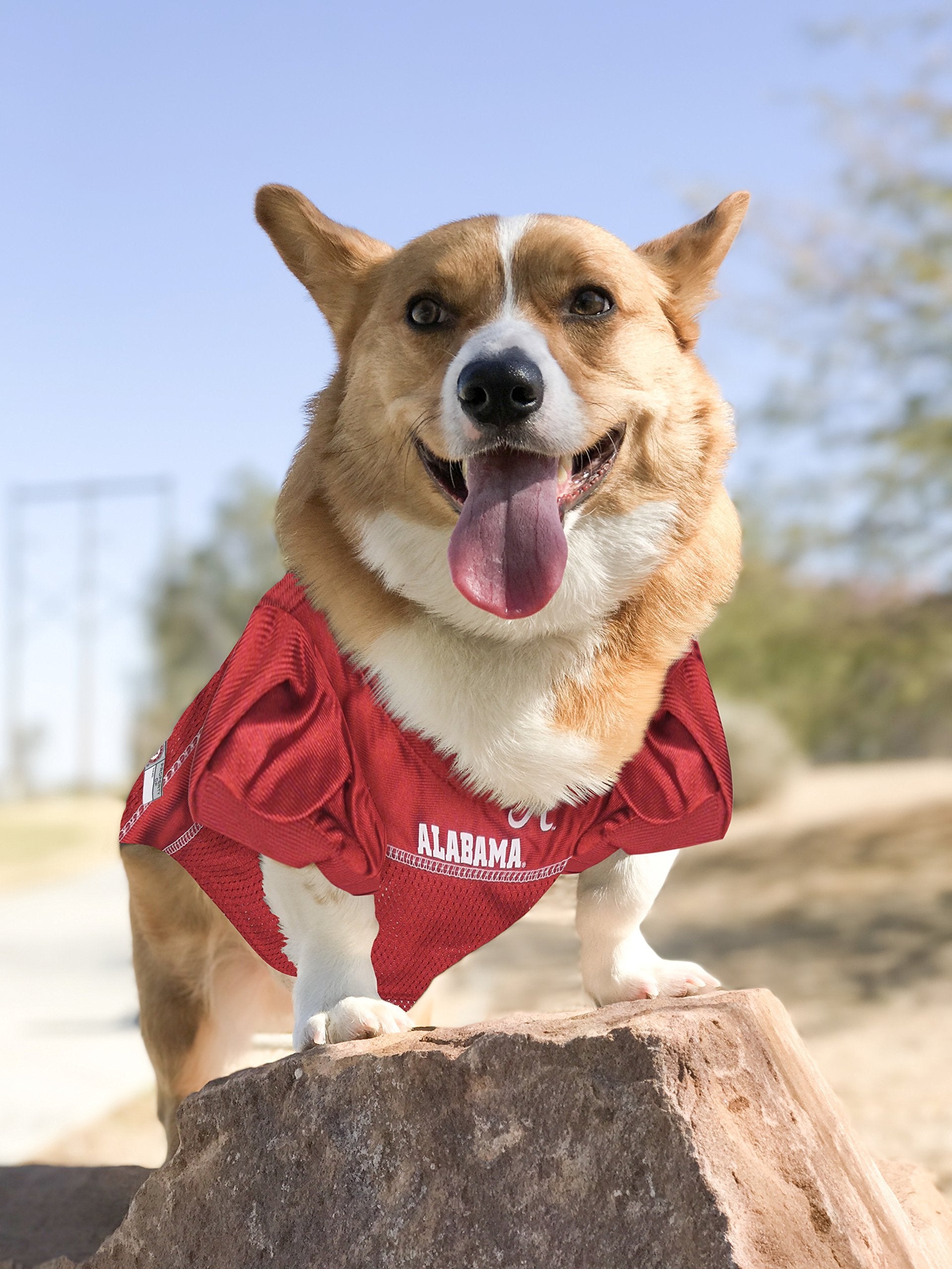 Pets First NCAA College Alabama Crimson Tide Mesh Jersey for DOGS & CATS, Large. Licensed Big Dog Jersey with your Favorite Foot