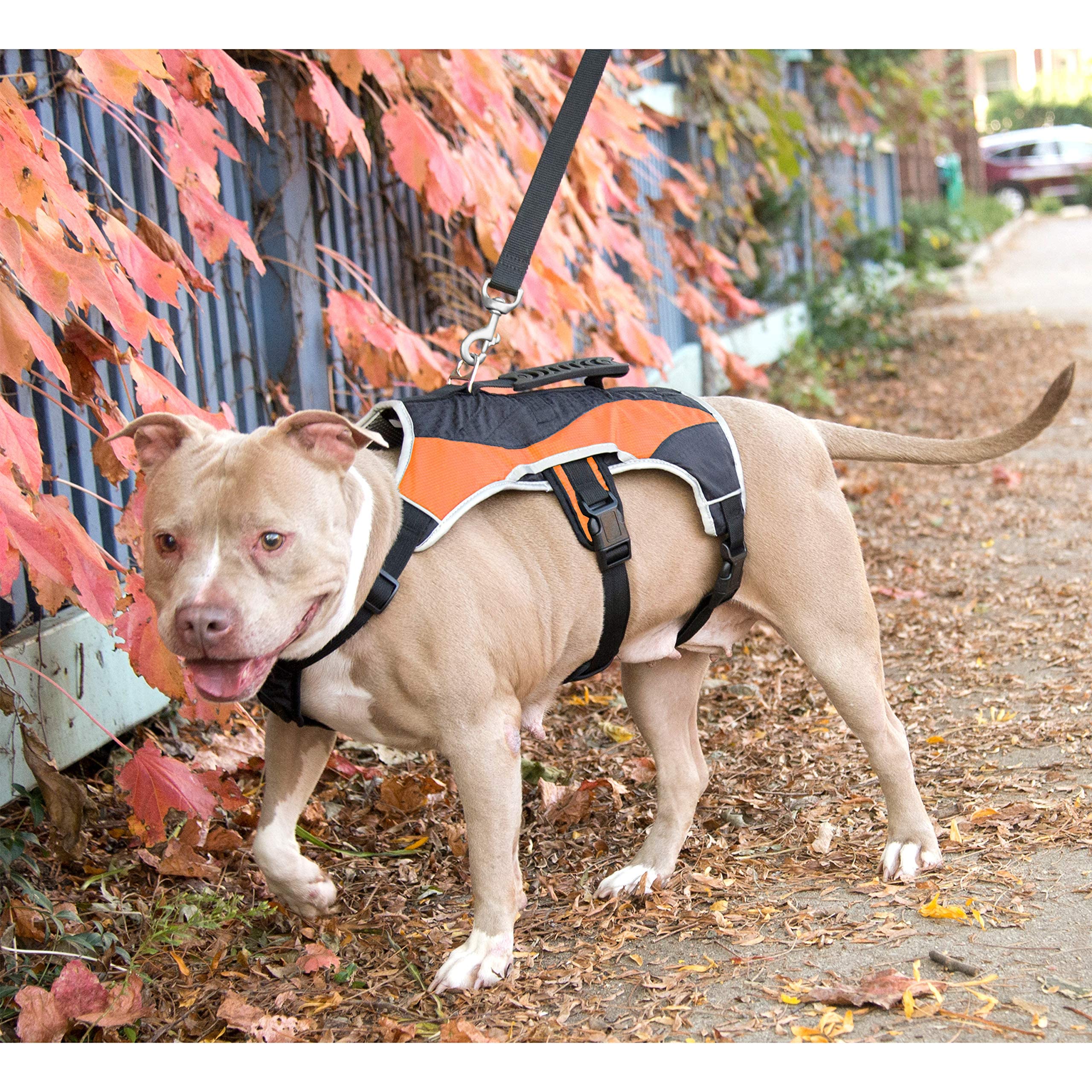 Peak Pooch - No-Pull Dog Harness - Padded, Mesh Fabric Dog Vest With Reflective Trim, Lifting Handles And Buckle Straps - Orange