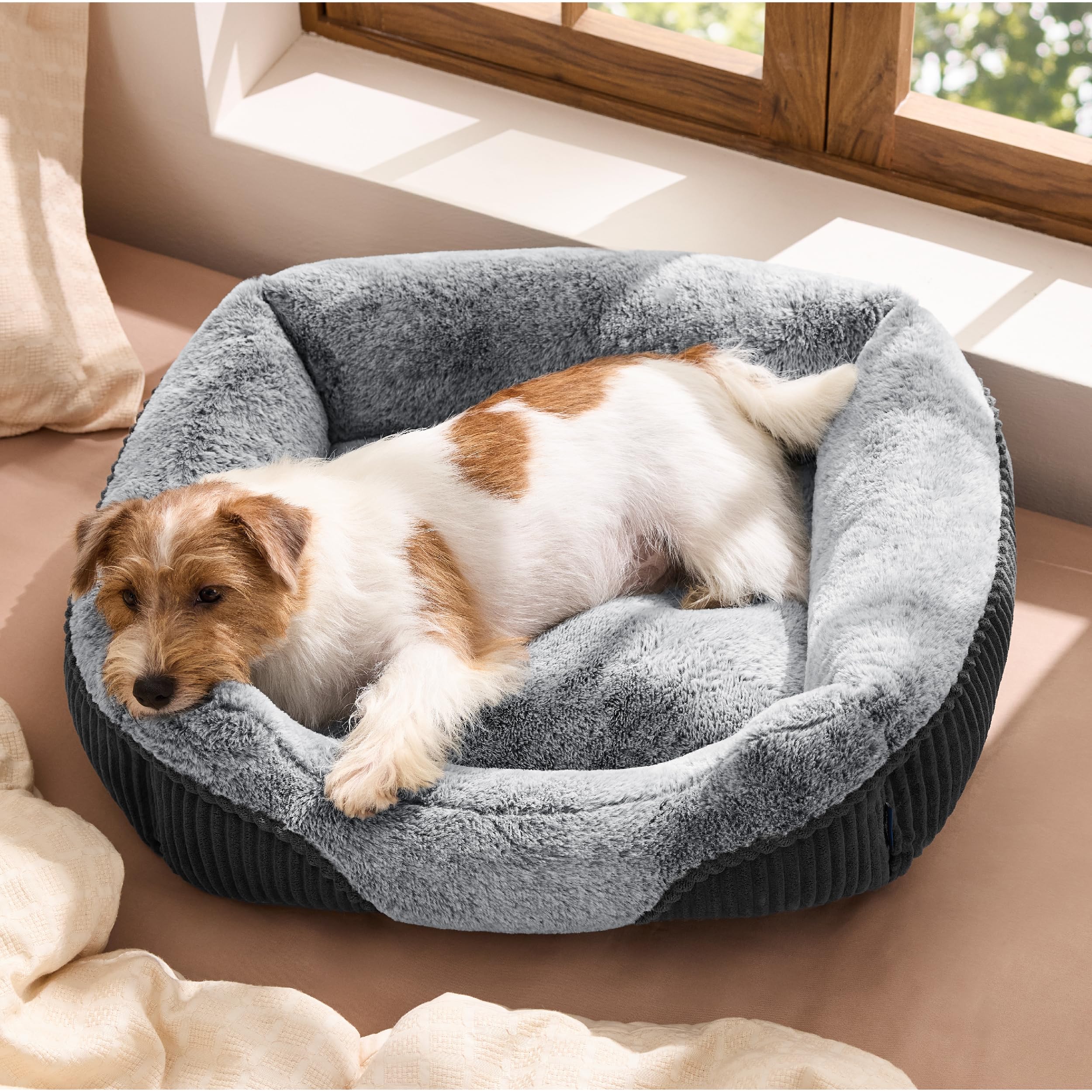 Bedsure Washable Dog Bed Small Medium Size Dog - Rectangle Fluffy Plush Pet Bed Puppy Bed, Comfy Corduroy Fleece and Nonskid Bot