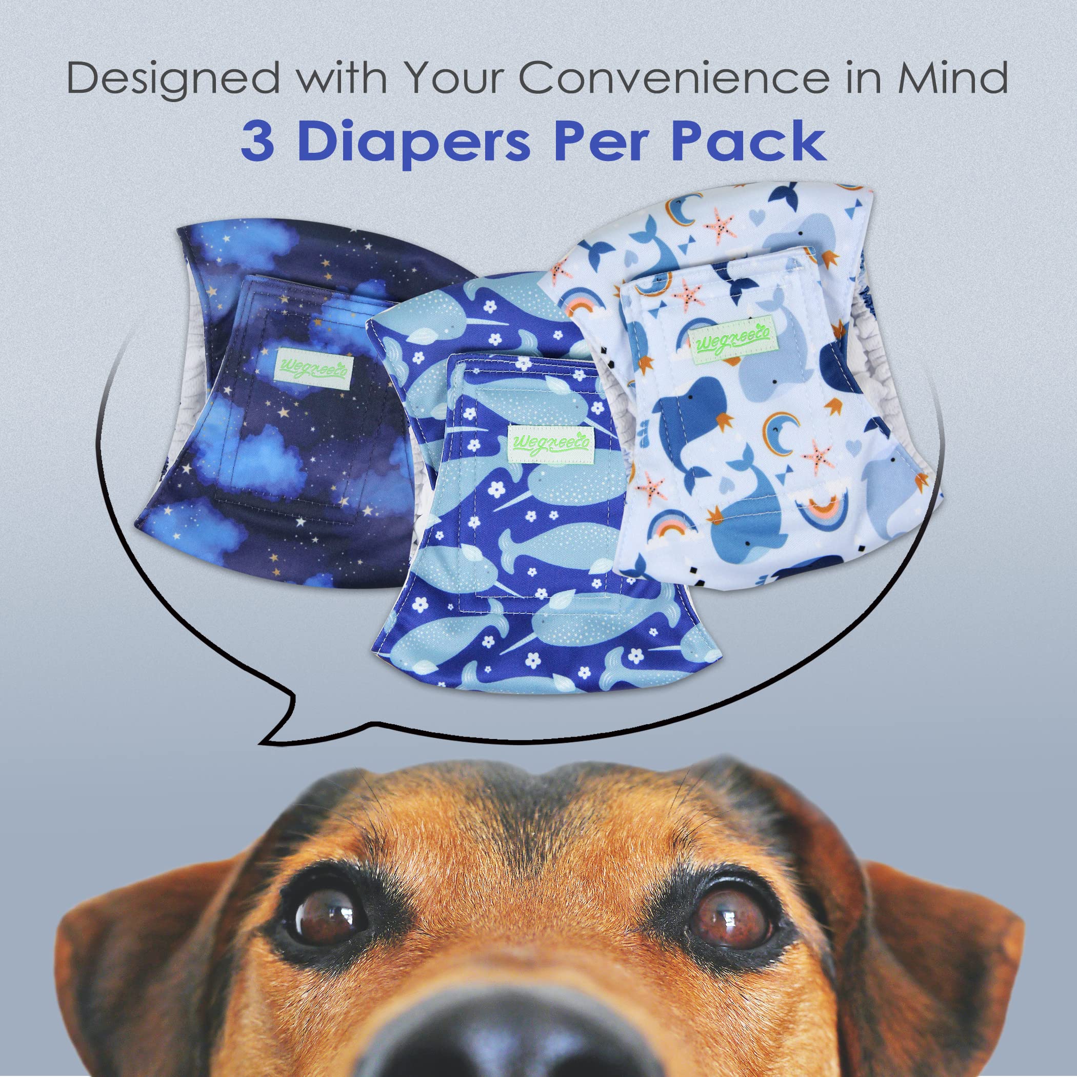 Wegreeco Washable Male Dog Belly Band (Stylish Pattern)- Pack Of 3 - Washable Male Dog Belly Wrap, Dog Diapers Male (Whale, Xs)