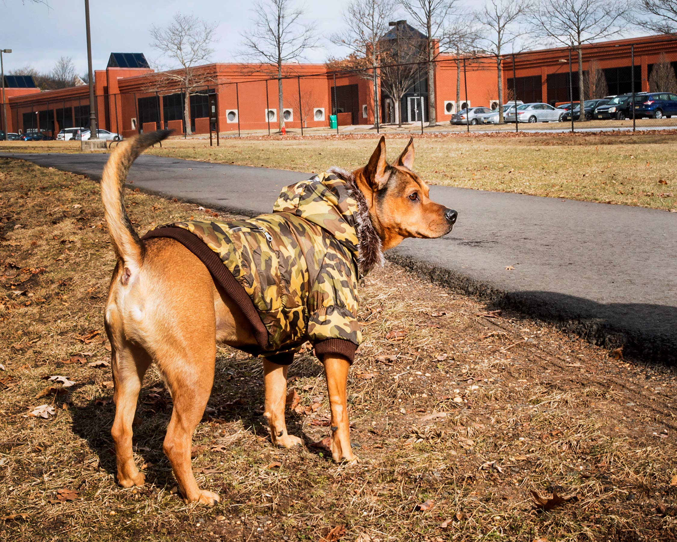 Pet Life Metallic Ski Parka Dog Coat, Camouflage, Large