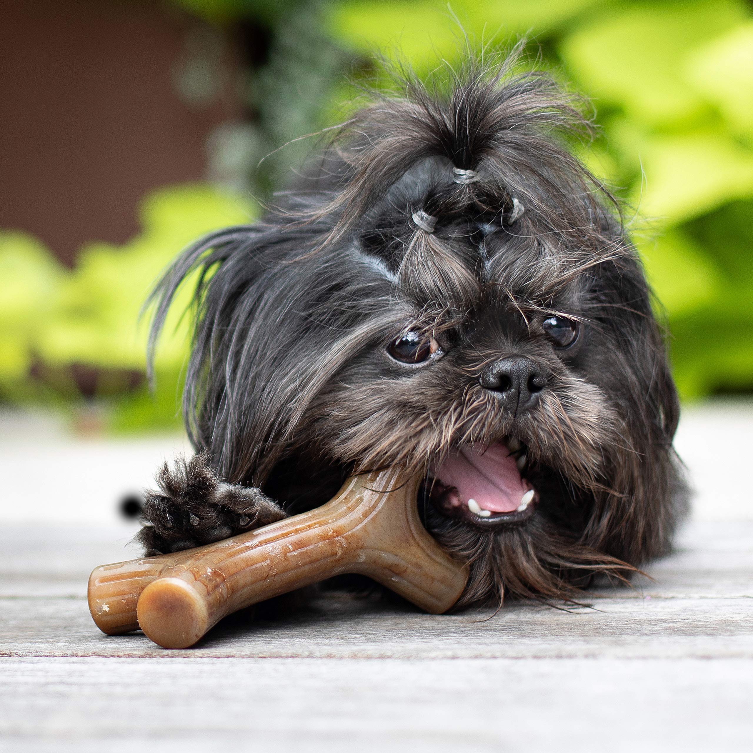 Benebone Maplestick Durable Dog Chew Toy For Aggressive Chewers, Real Maplewood, Made In Usa, Small
