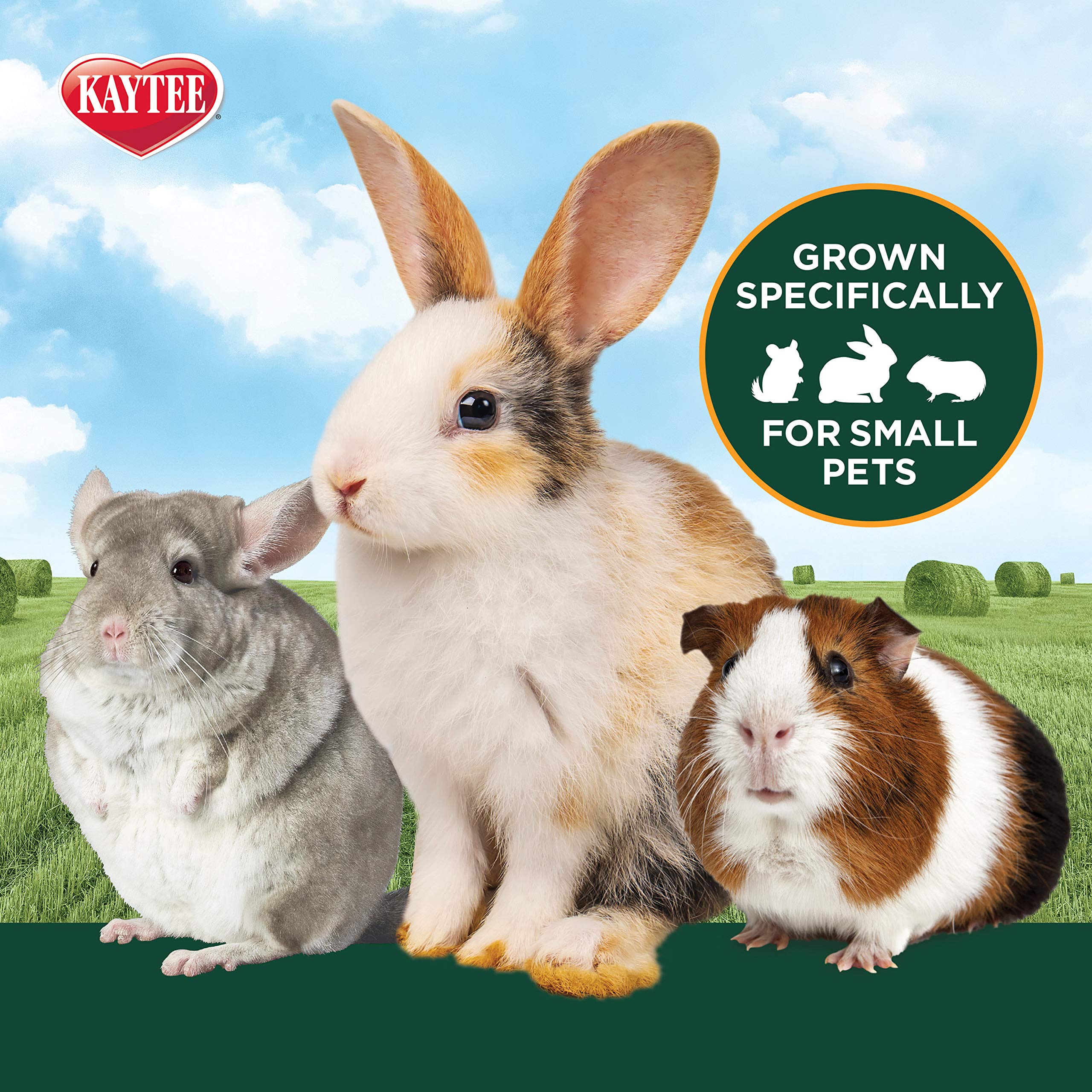 Kaytee Timothy Hay & Orchard Grass for Guinea Pigs, Rabbits & Other Small Animals, 48 oz