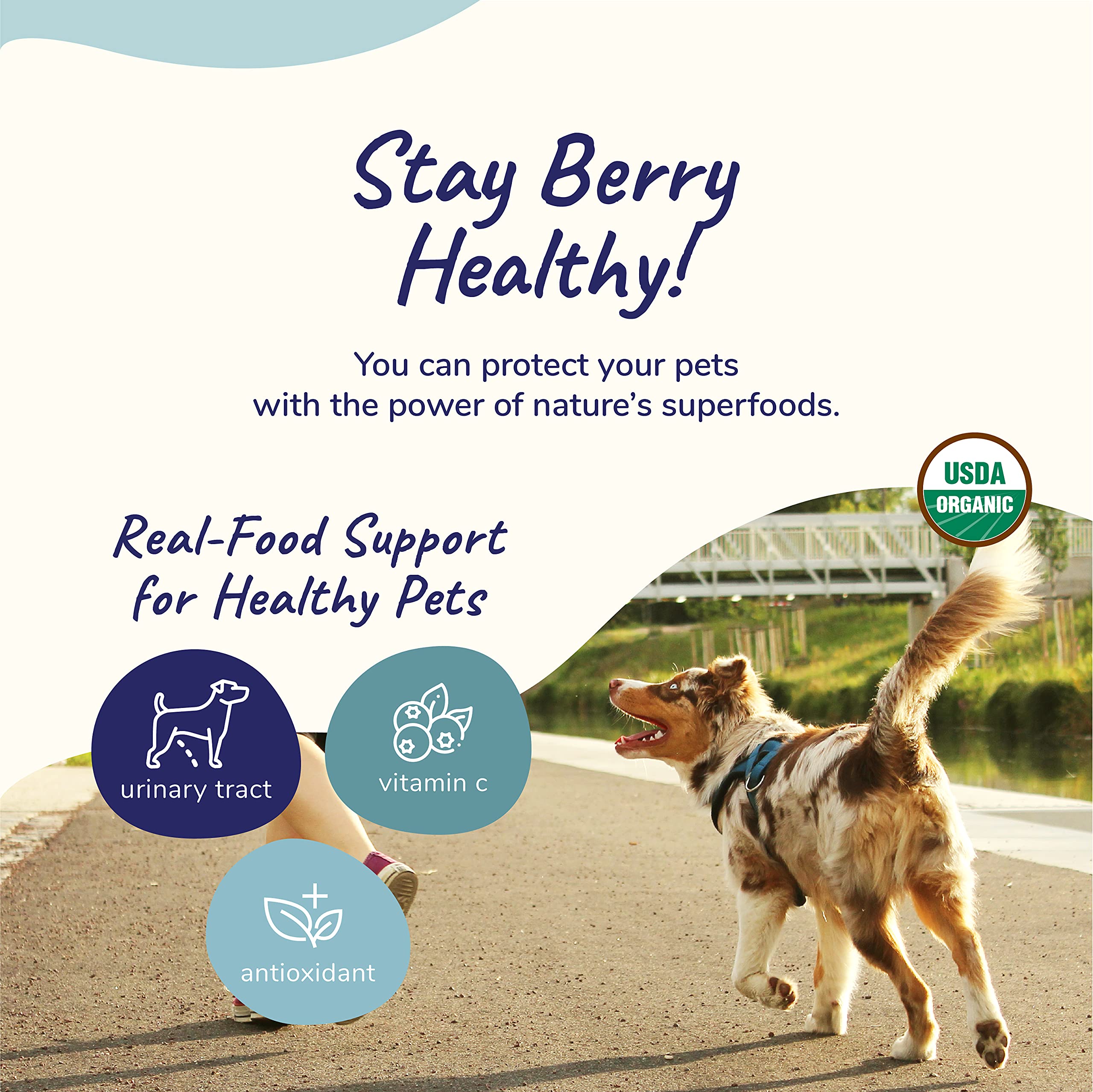 kin+kind Dog Supplement Powder - Supplement for Dogs & Cats for Healthy Immunity - Bladder Support - Natural Formula with Organi