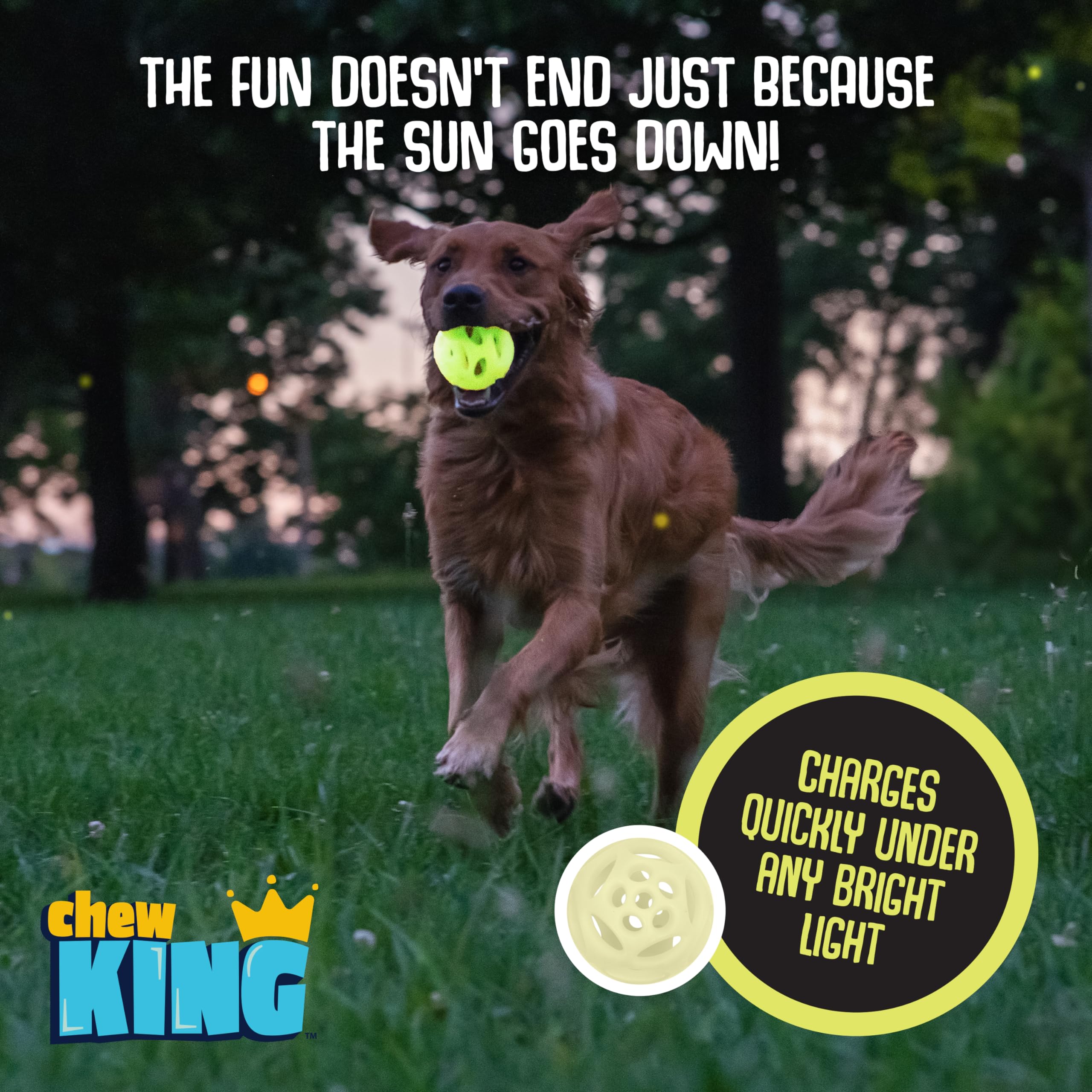 Chew King Glowing Fetch Ball, Dog Ball Toys, Medium 2-Pack Lattice