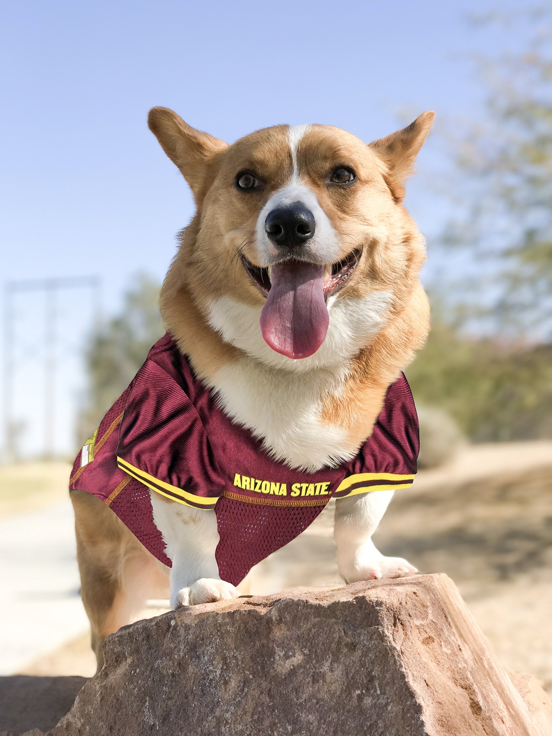 Pets First NCAA College Arizona State Sun Devils Mesh Jersey for DOGS & CATS, Small.Licensed Dog Jersey with your Favorite Footb