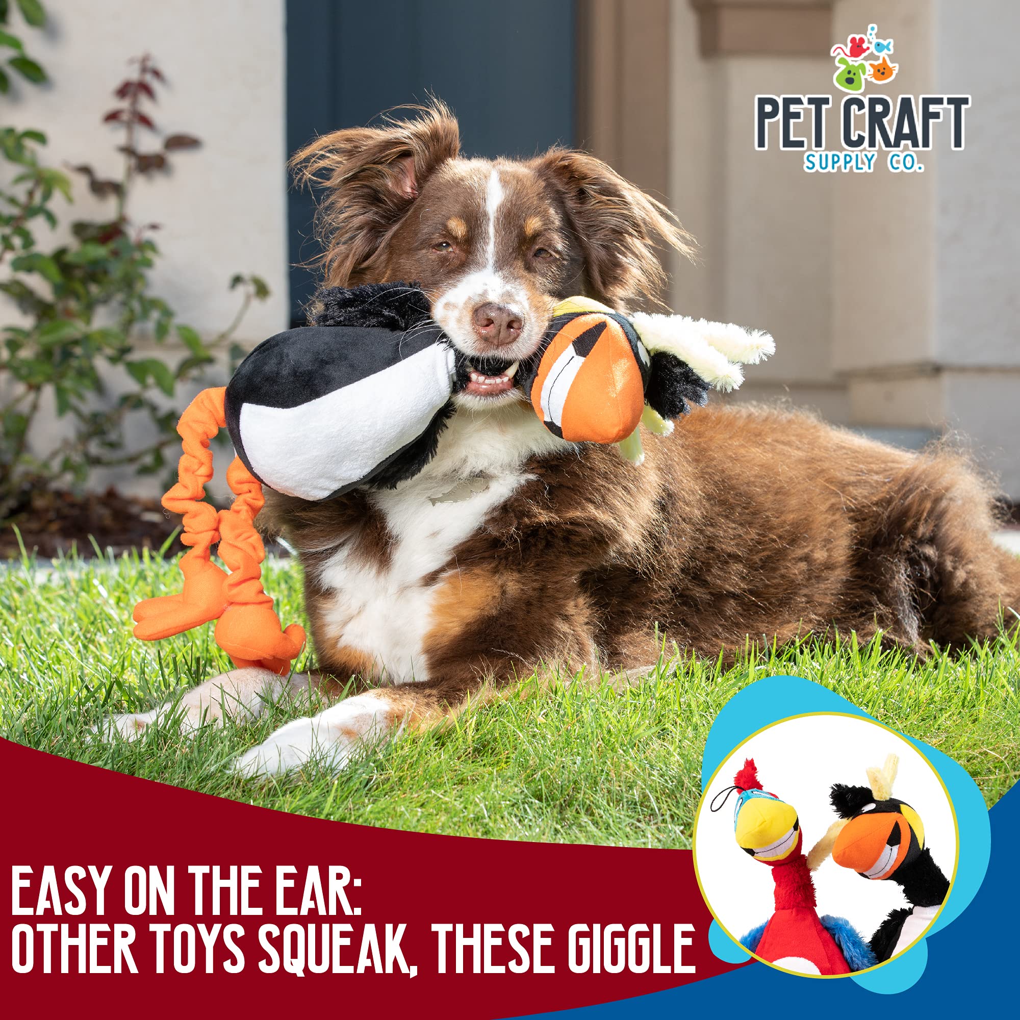 Pet Craft Supply Giggling Puffin & Parrot Multi Pack Interactive Dog Toys With Sound For Large Breed And Small Dogs Soft Chew Pl