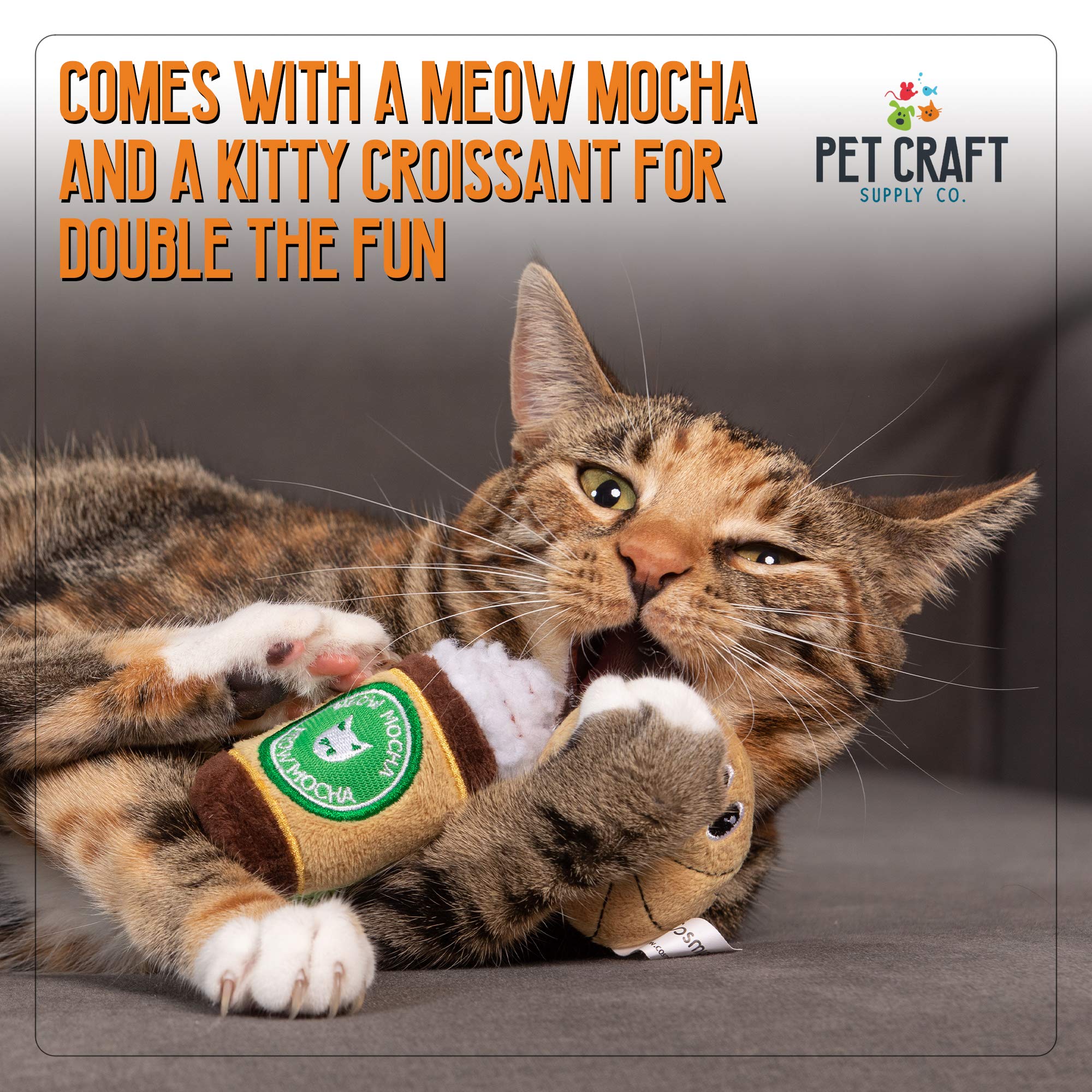 Pet Craft Supply Silly Snacks and Funny Food Crinkle Cuddling Catnip and Silvervine Interactive Cat Toys - Great for Indoor Cats