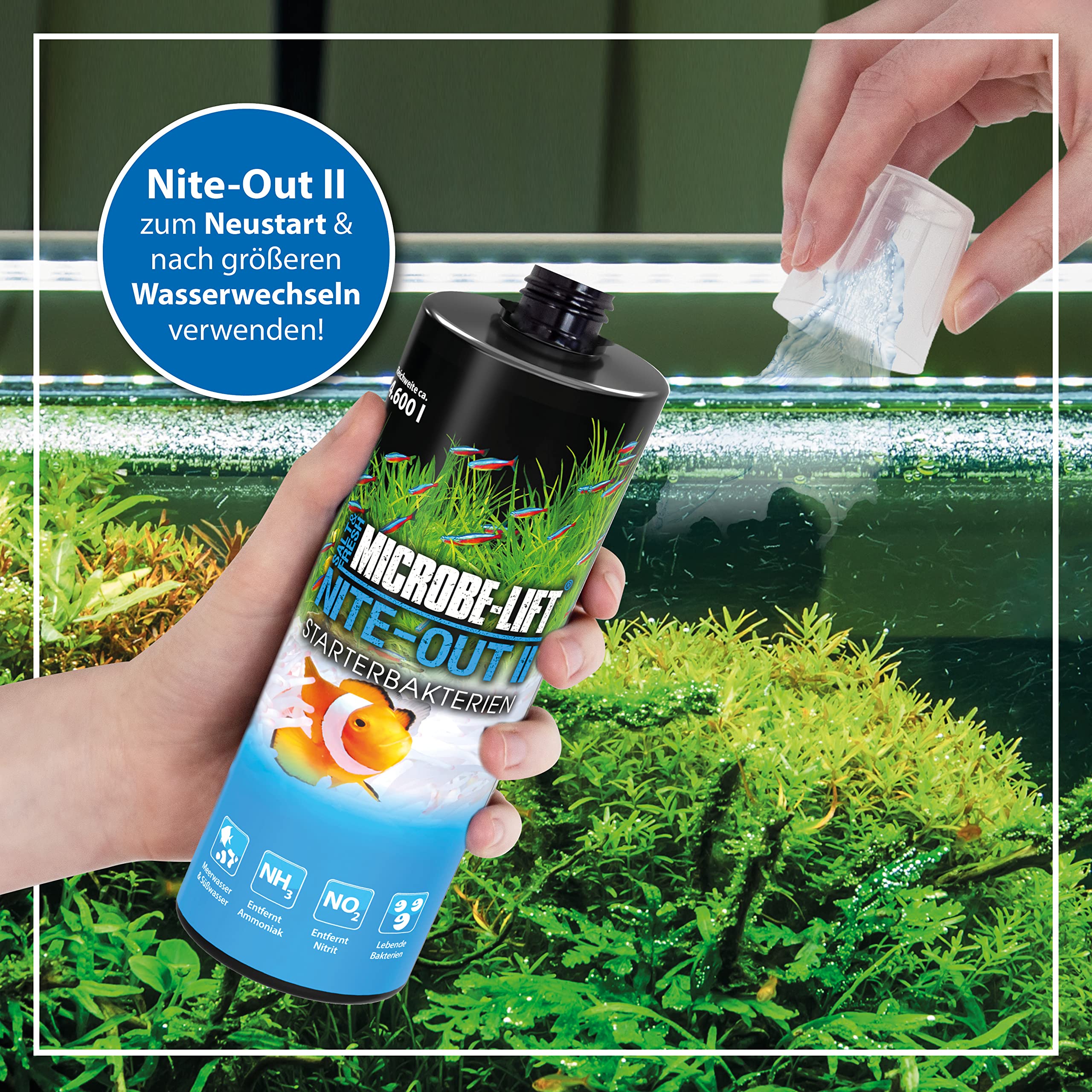 MICROBE-LIFT NITEH64 Nite-Out II Aquarium Cleaner, Rapid Ammonia & Nitrite Reduction, 64 Ounces, Freshwater/Saltwater, Black