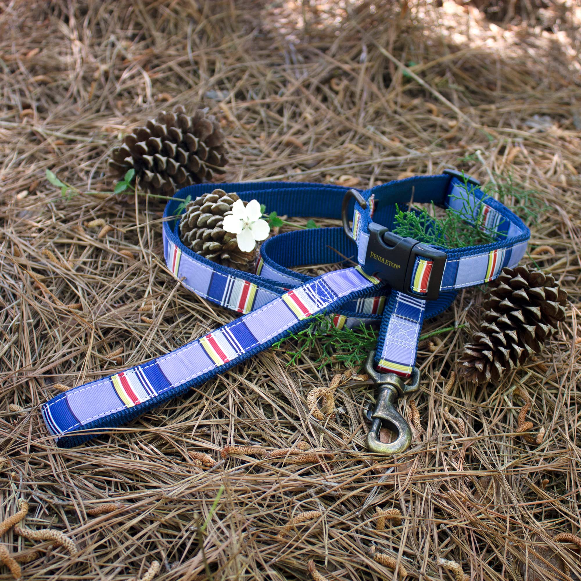 Pendleton Pet National Park Hiker Collar (L, Yosemite)