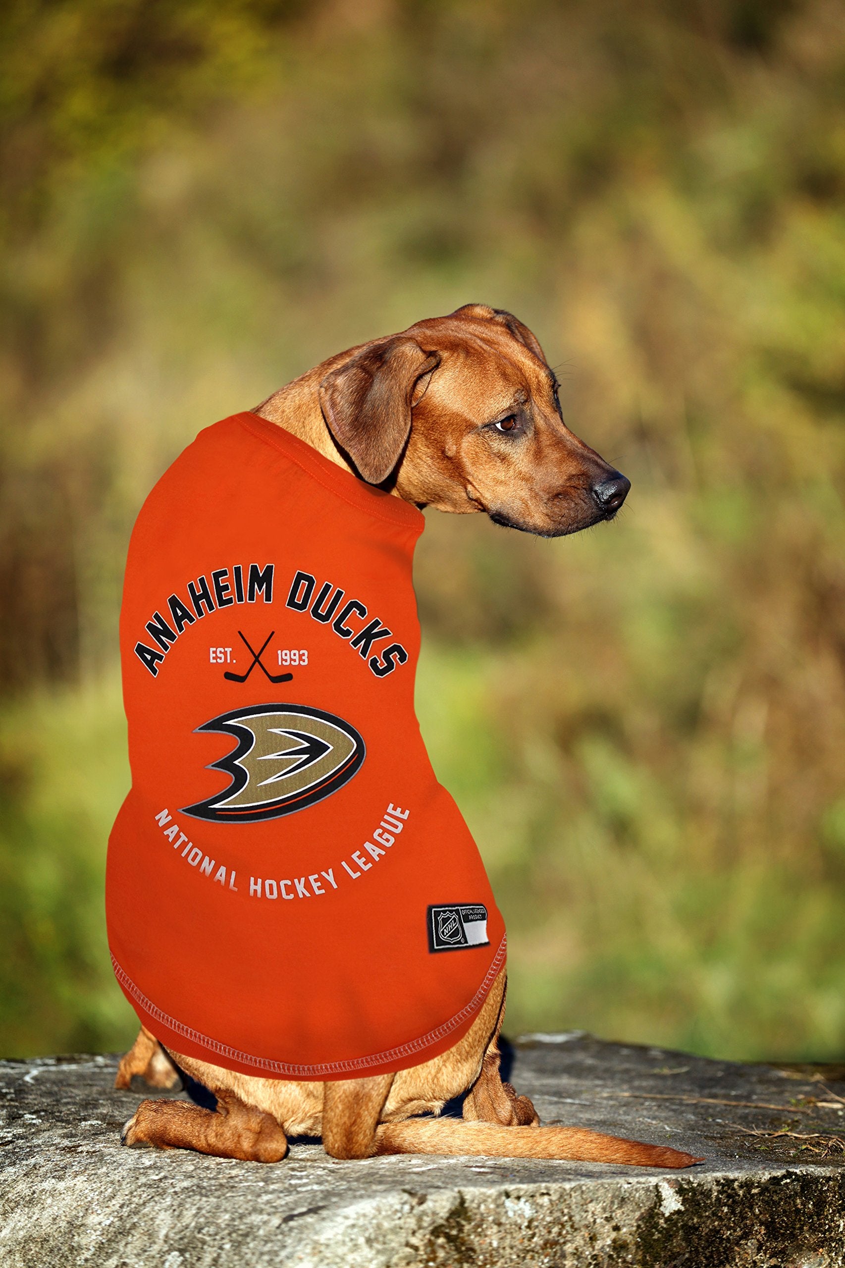 NHL St.Louis Blues Tee Shirt for Dogs & Cats, Medium. - Are You A Hockey Fan? Let Your Pet Be An NHL Fan Too!