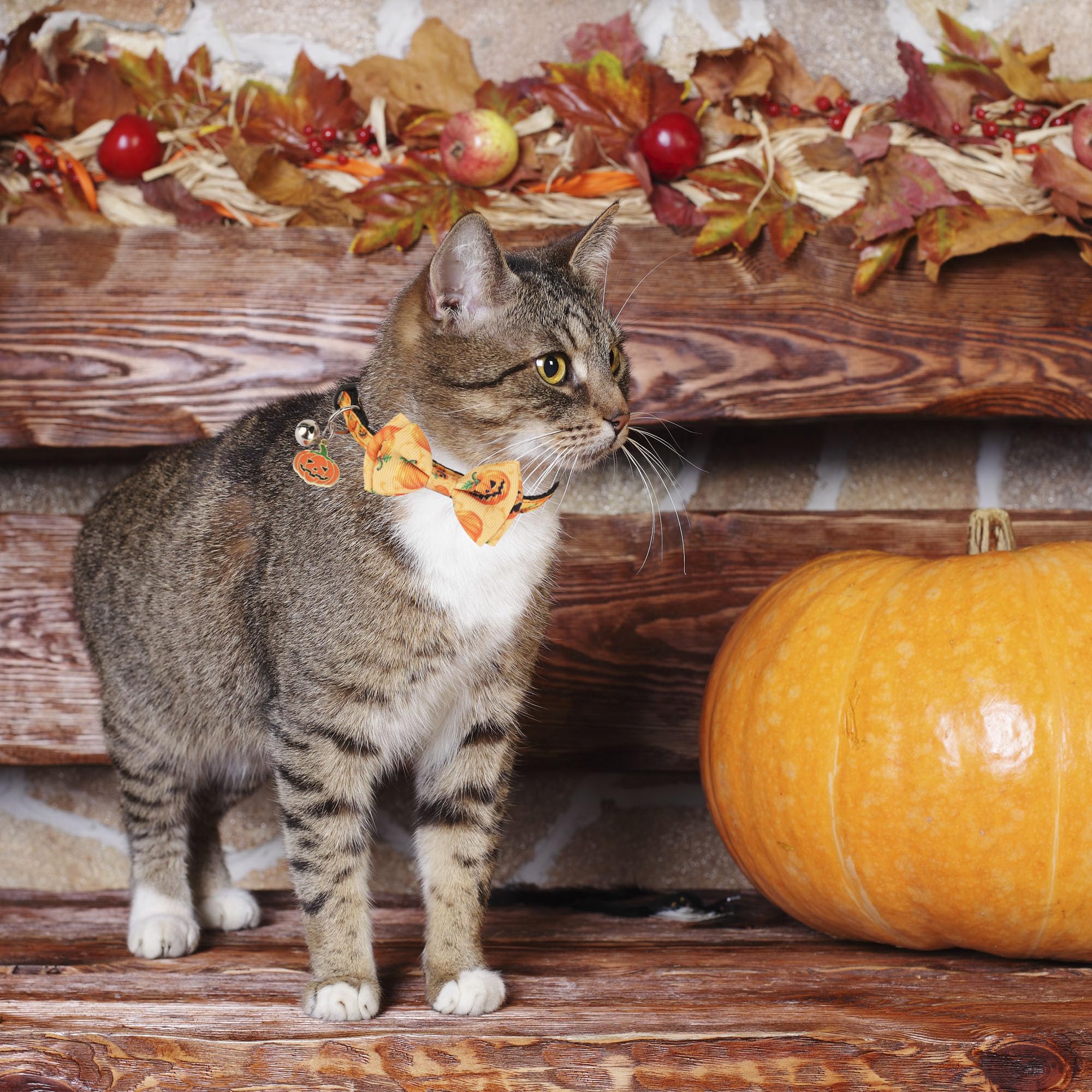 Adoggygo Halloween Cat Collars With Bow Bell, Breakaway Cat Collar With Bowtie Pumpkin Ghost Cat Kitten Collar For Girl Boy Cats Kittens (Halloween)