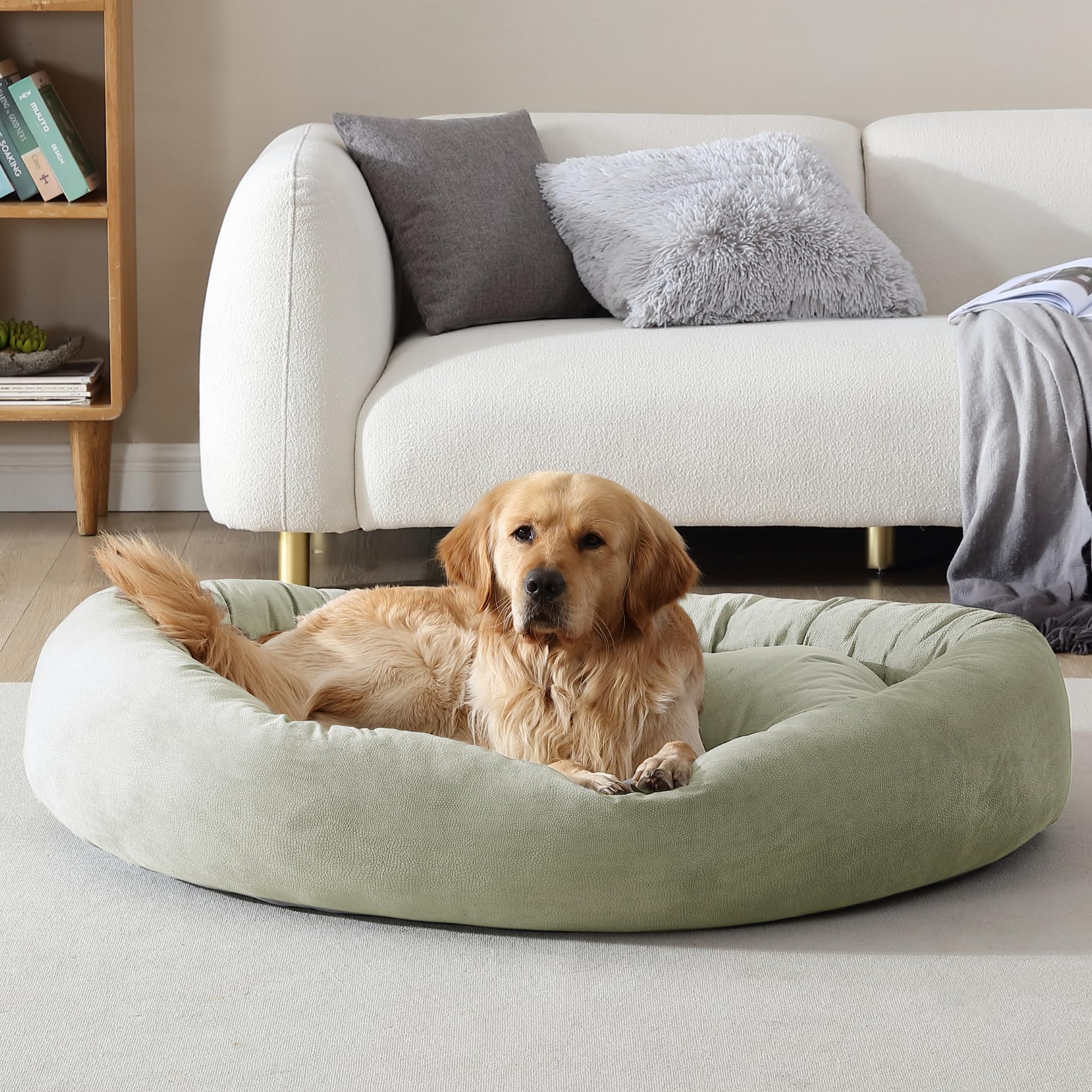 Arlee Orbit Orthopedic Memory Foam Dog Bed - Premium, Durable, Washable, And Easy To Clean Fabric, Pet Bed For Large And Extra L
