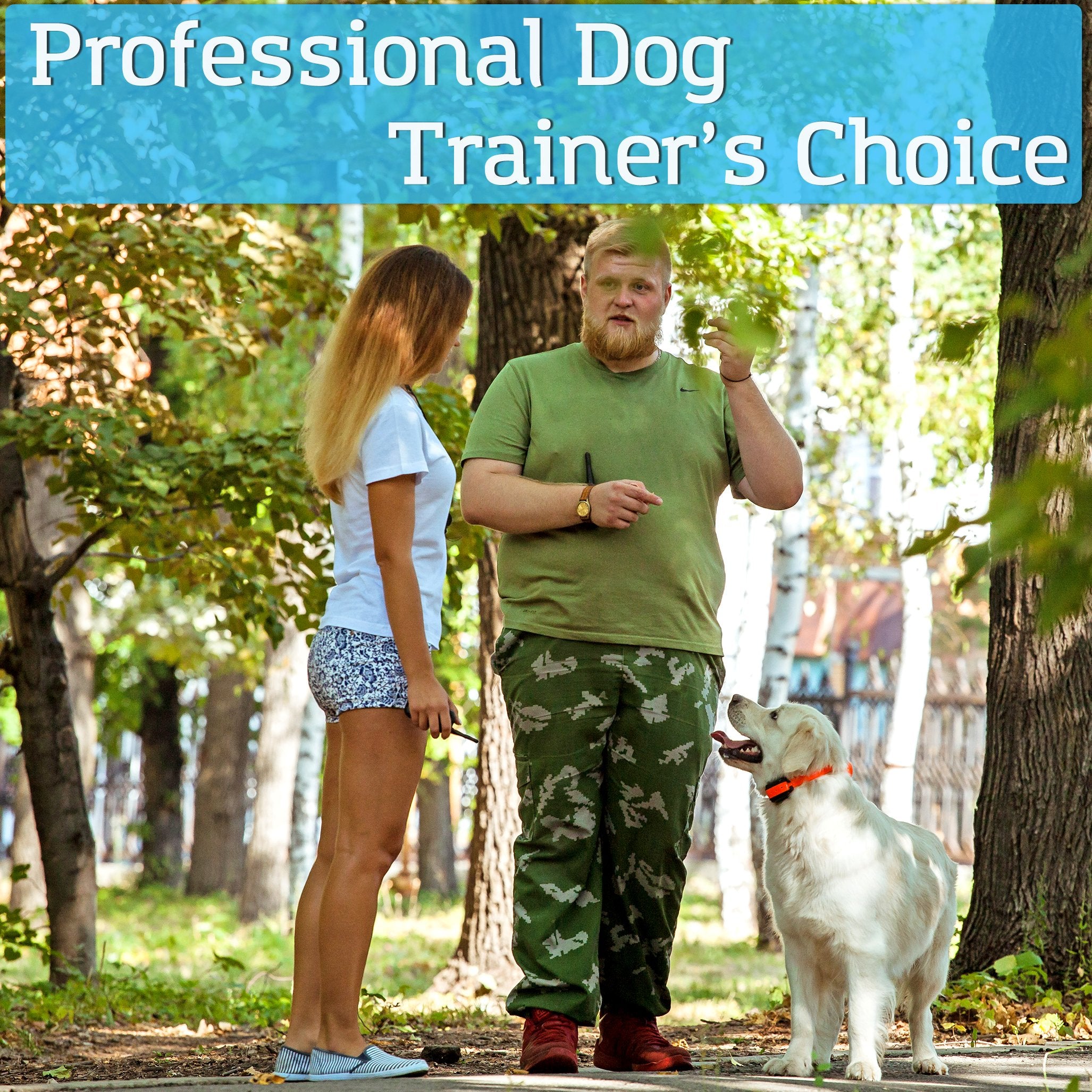 Petspy M686 Premium Dog Training Shock Collar, 1100 Yards, Medium To Large Dogs, With Vibration, Electric Shock And Beep, Waterproof, Remote Trainer (Two Dogs)