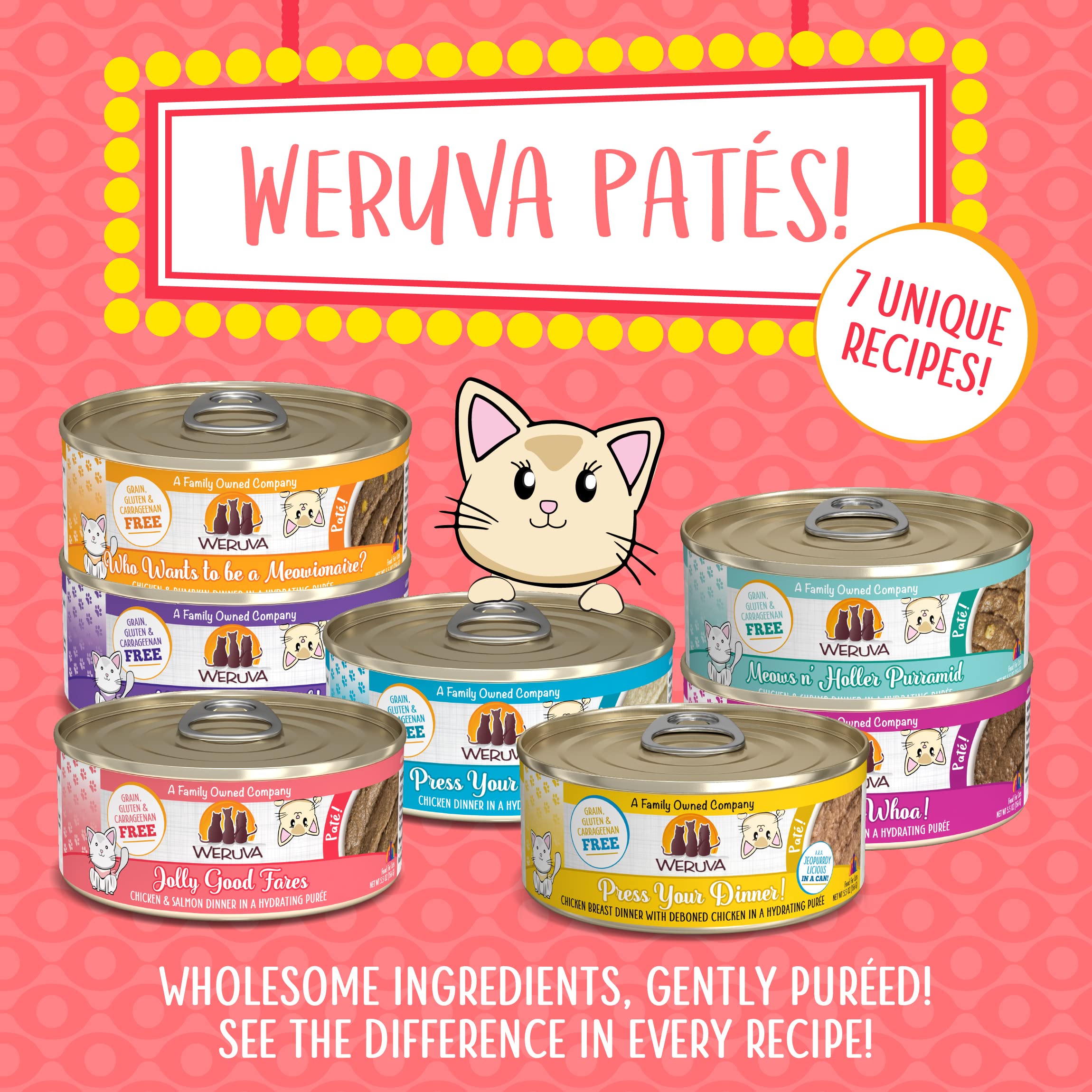 Weruva Wet Cat Food, Jolly Good Fares with Chicken and Salmon Pate, 5.5oz Can, Pack of 8