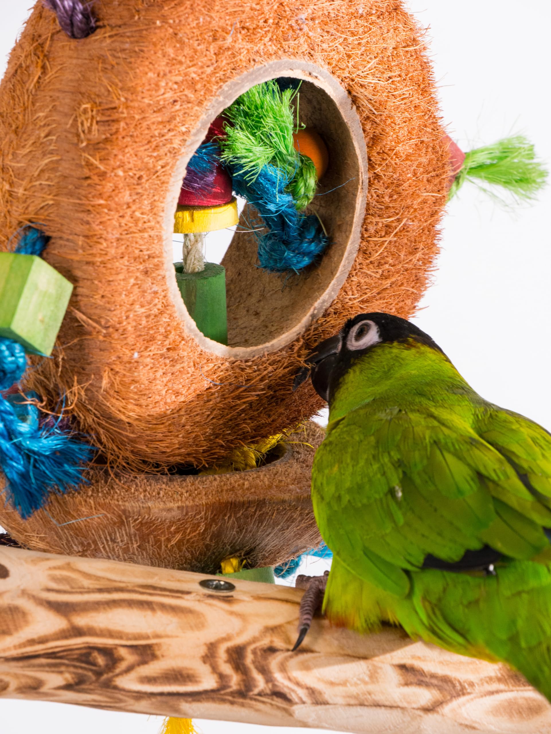 Penn-Plax Ba1870 Coconut Kabob With Wood & Sisal Pet Collar