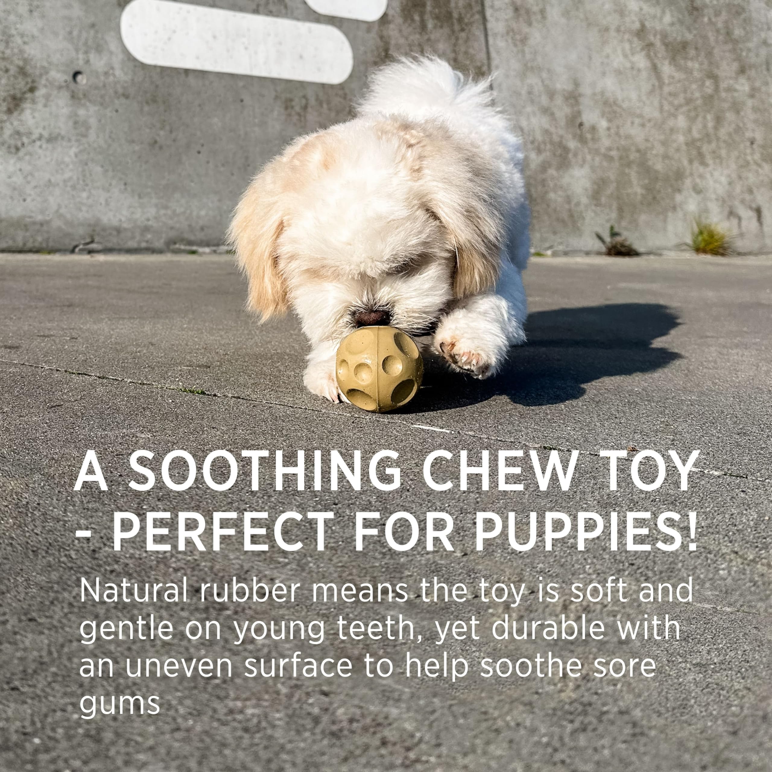 Hevea Moon Ball Activity Toy For Dogs (Old Rose) (Old Rose)