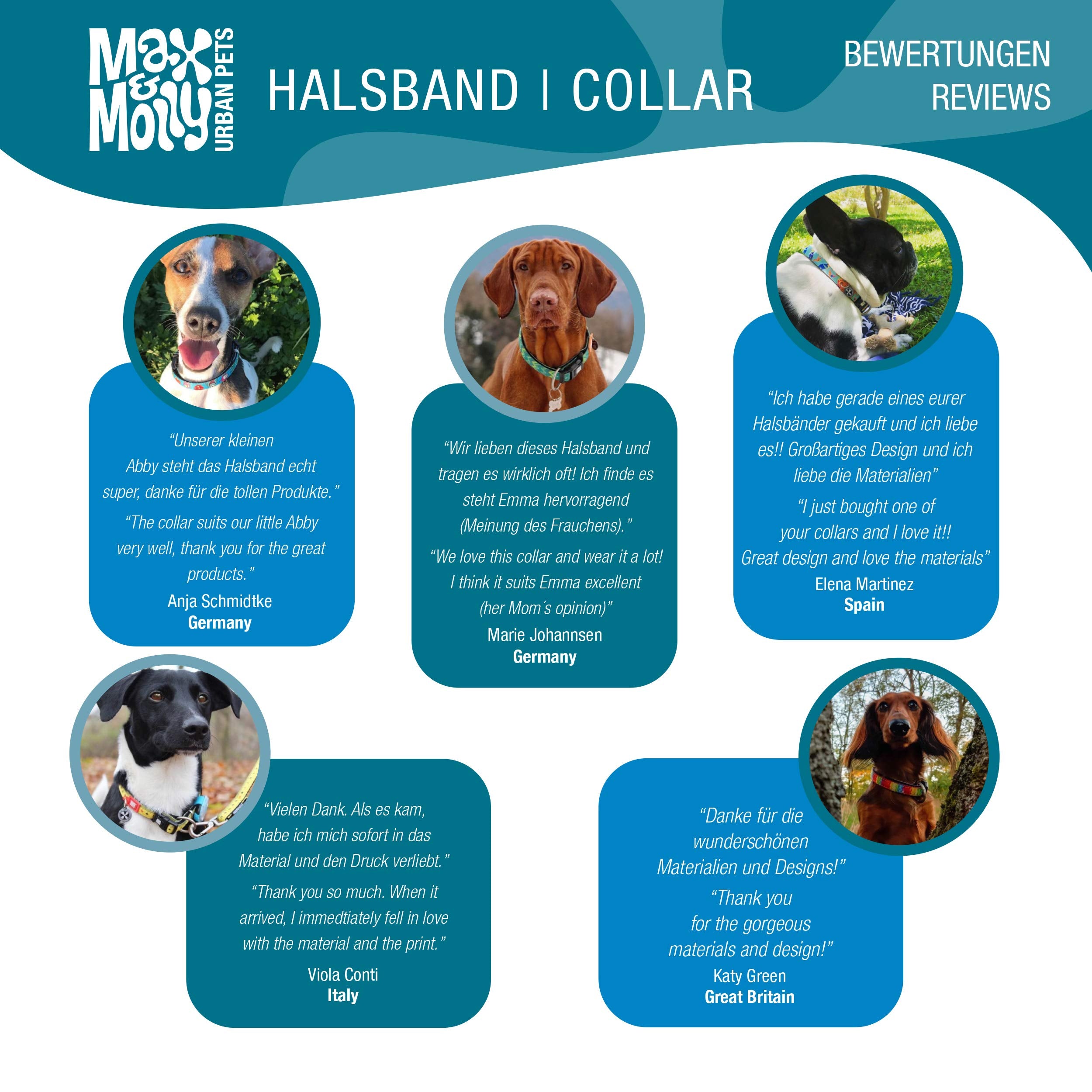 Max & Molly Smart ID Dog Collar with Gotcha! QR Safety Tag and Custom Pet Profile, Soft Padded Neoprene, Waterproof, Summertime,