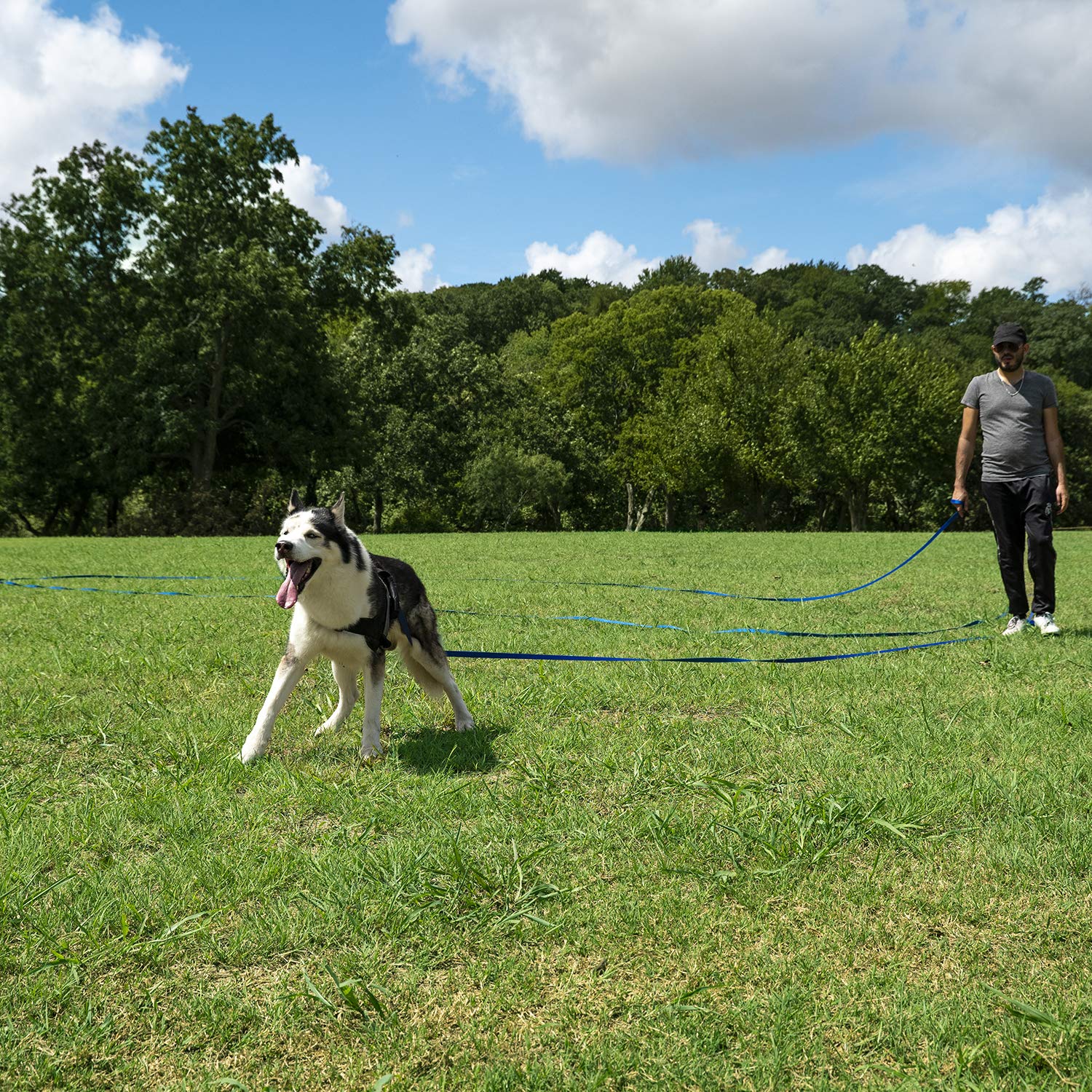 Hi Kiss Dog Training Leash - 30ft Nylon Agility Lead, Orange - Ideal for Recall, Play, Camping, Backyard Activities