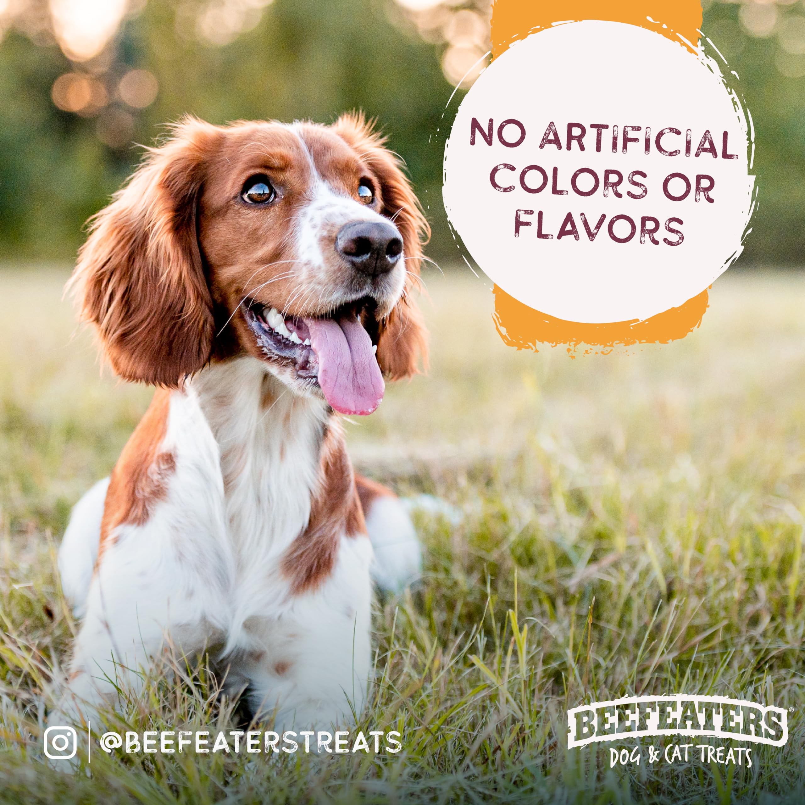 Beefeaters Sweet Potato Wrap with Chicken 40oz - Dog Treat. No Corn, Wheat, Soy or Gluten, Low Fat, Whole Muscle Jerky, Ideal fo
