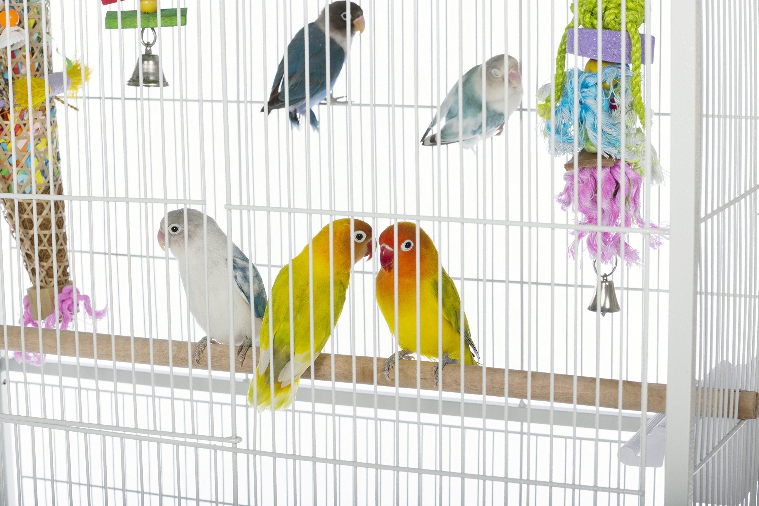 Prevue Pet Products Large Wrought Iron Flight Cage - 31"x20.5"x53", White, Non-Toxic Steel with Stand, Model F041