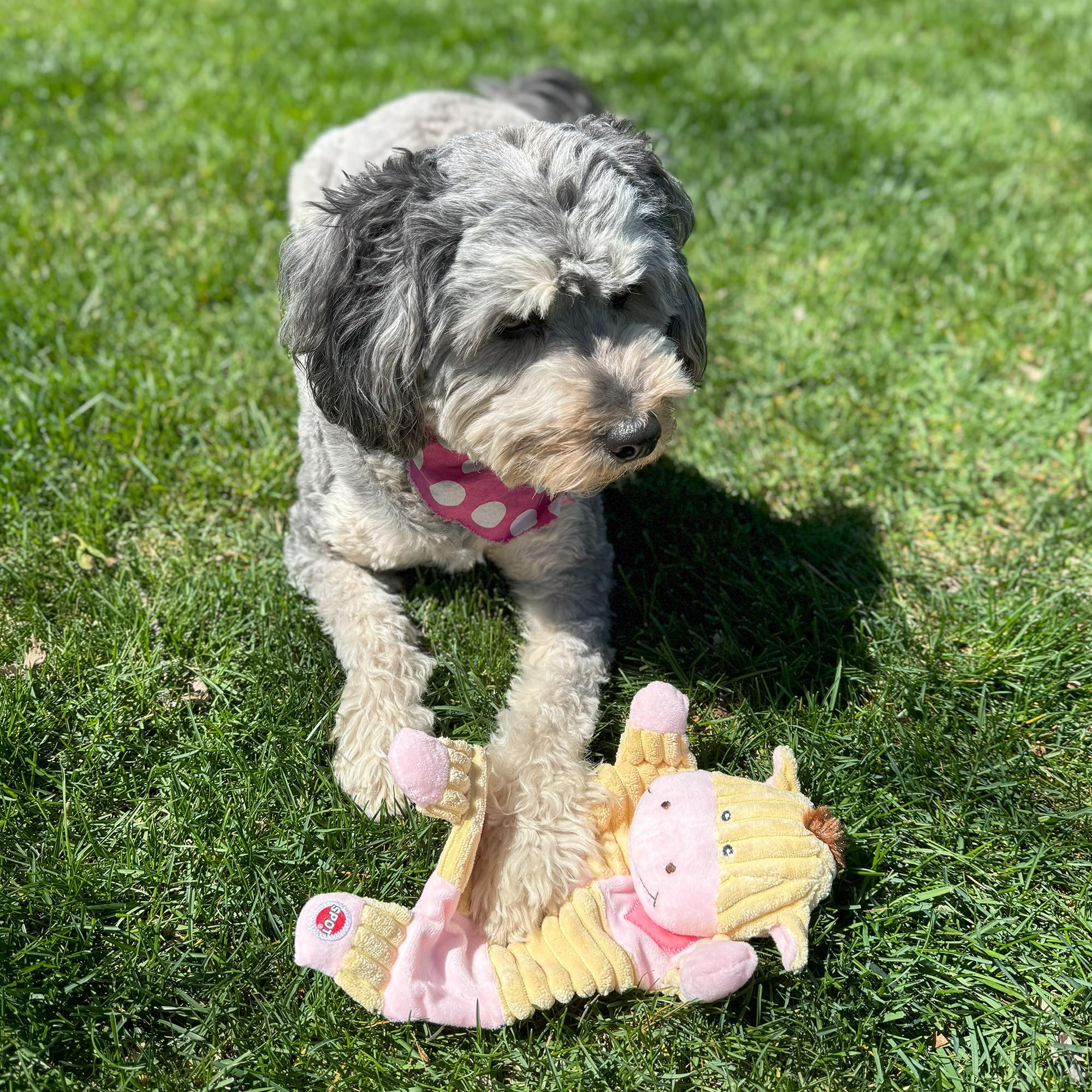 Spot Soothers- Crinkle Paper Dog Toy-Separation Anxiety Toys For Dogs, Stuffing Free, Scented With Calming Lavender Fragrance Beads To Safely Calm & Relax Dogs And Puppies, 13In