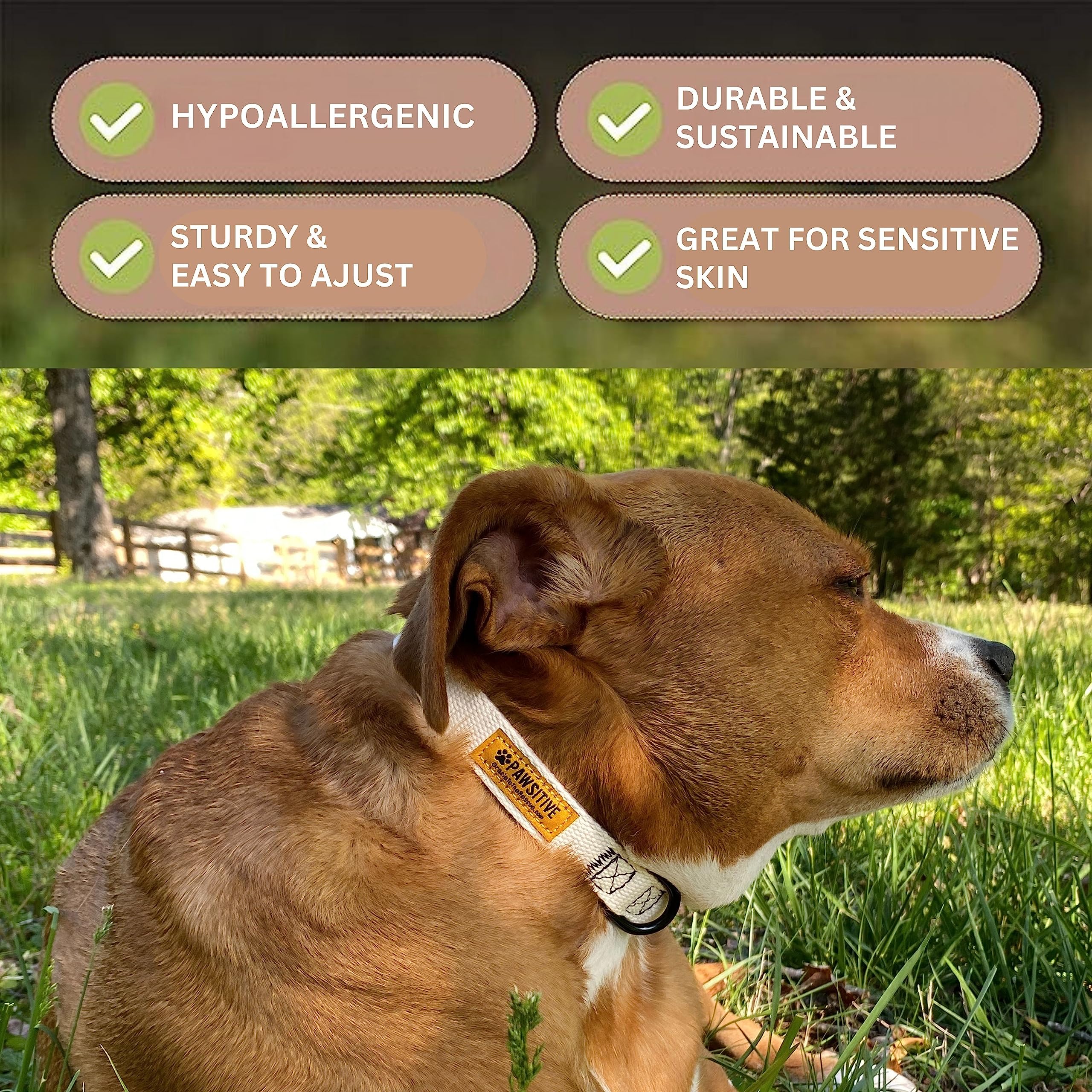 Pawsitive Hemp Dog Collar - Super Soft Hypoallergenic Lining. Great For Small, Medium And Large Dogs; Large Rosemary Red