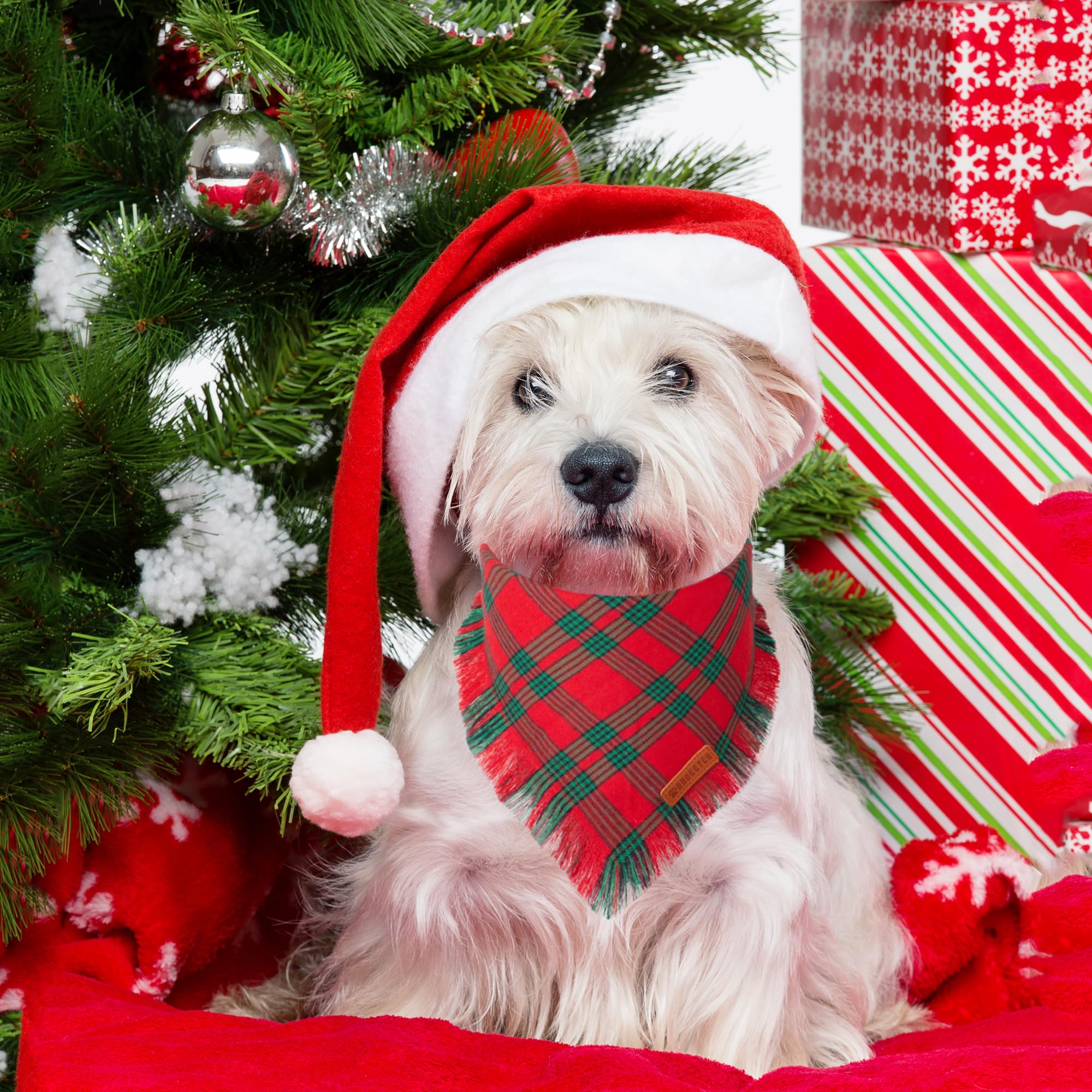 Adoggygo Christmas Dog Bandanas With Tassels Edges, Red Green Plaid Dog Christmas Scarf Bib, Multiple Sizes Offered, Christmas Bandanas For Small Dogs Puppies (Christmas-2, Small)