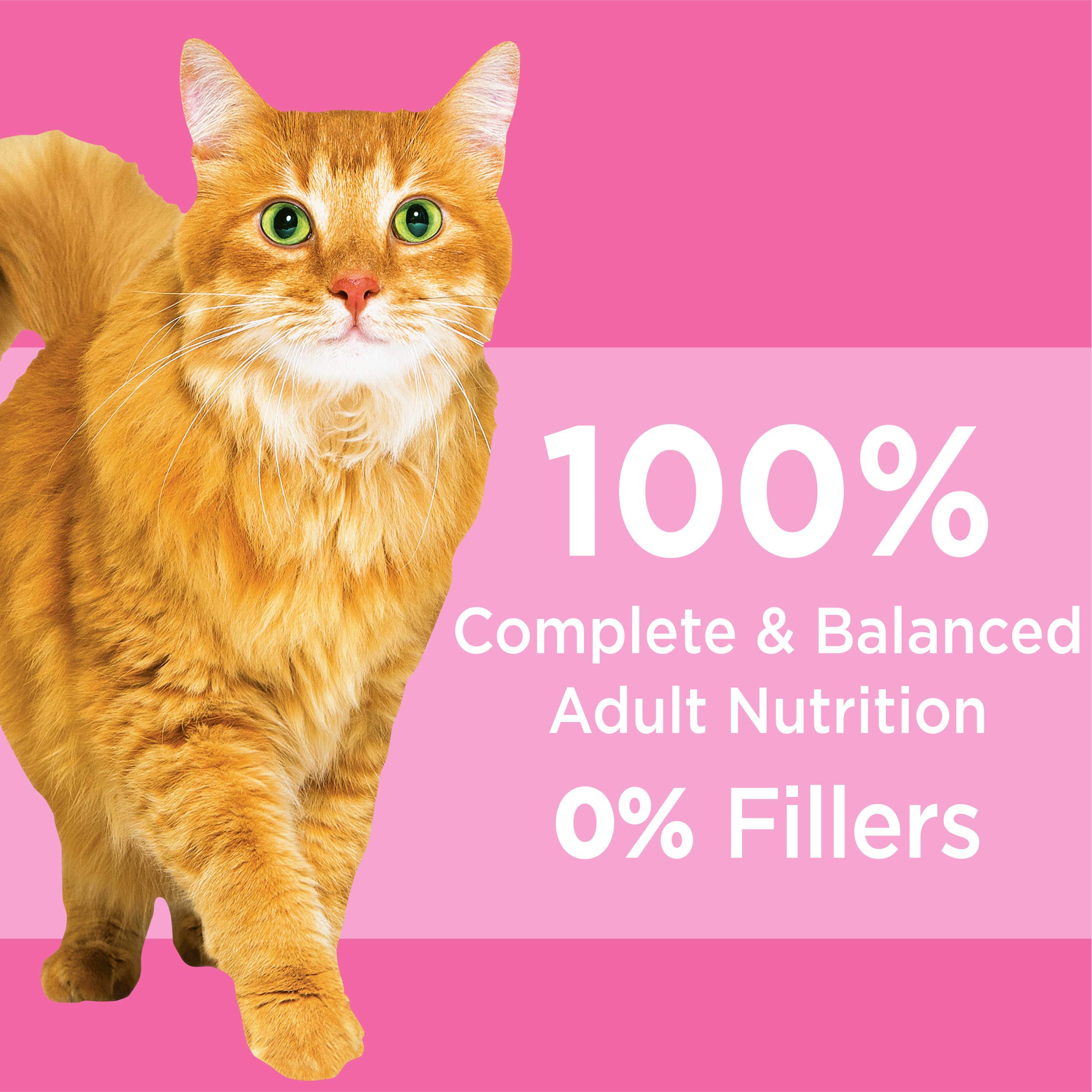 IAMS Proactive Health Adult Sensitive Digestion & Skin Dry Cat Food with Turkey, 6 lb. Bag