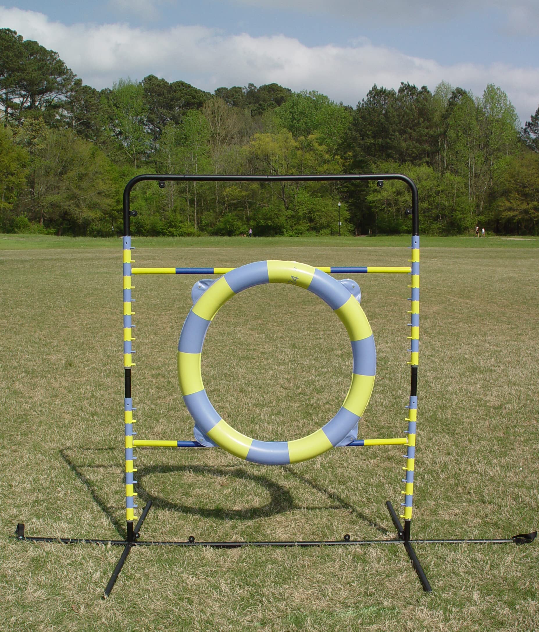 Agility Tire Jump (Hoop Jump)