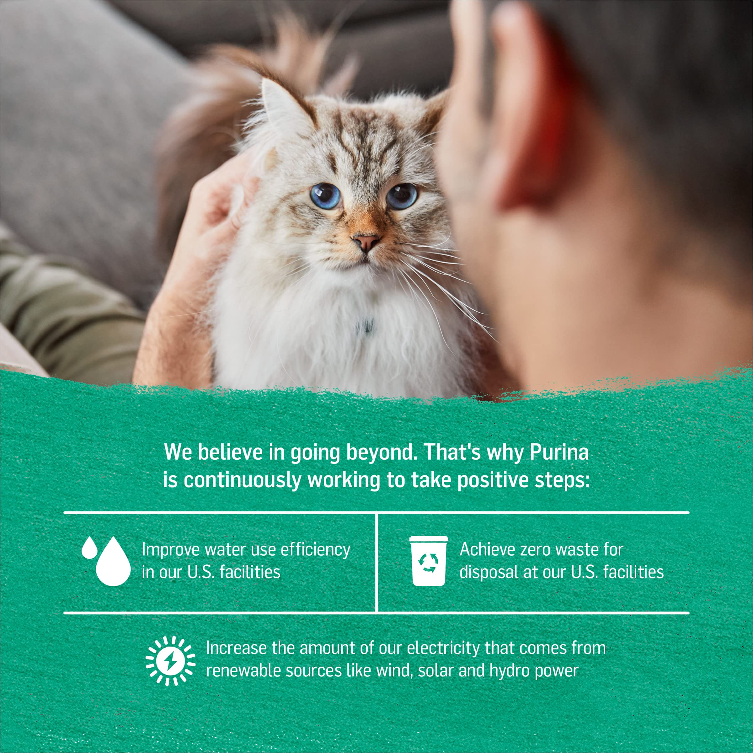Purina Beyond Line-Caught Alaskan Cod and Spinach Recipe Grain Free Wet Cat Food Pate - (Pack of 12) 3 oz. Cans