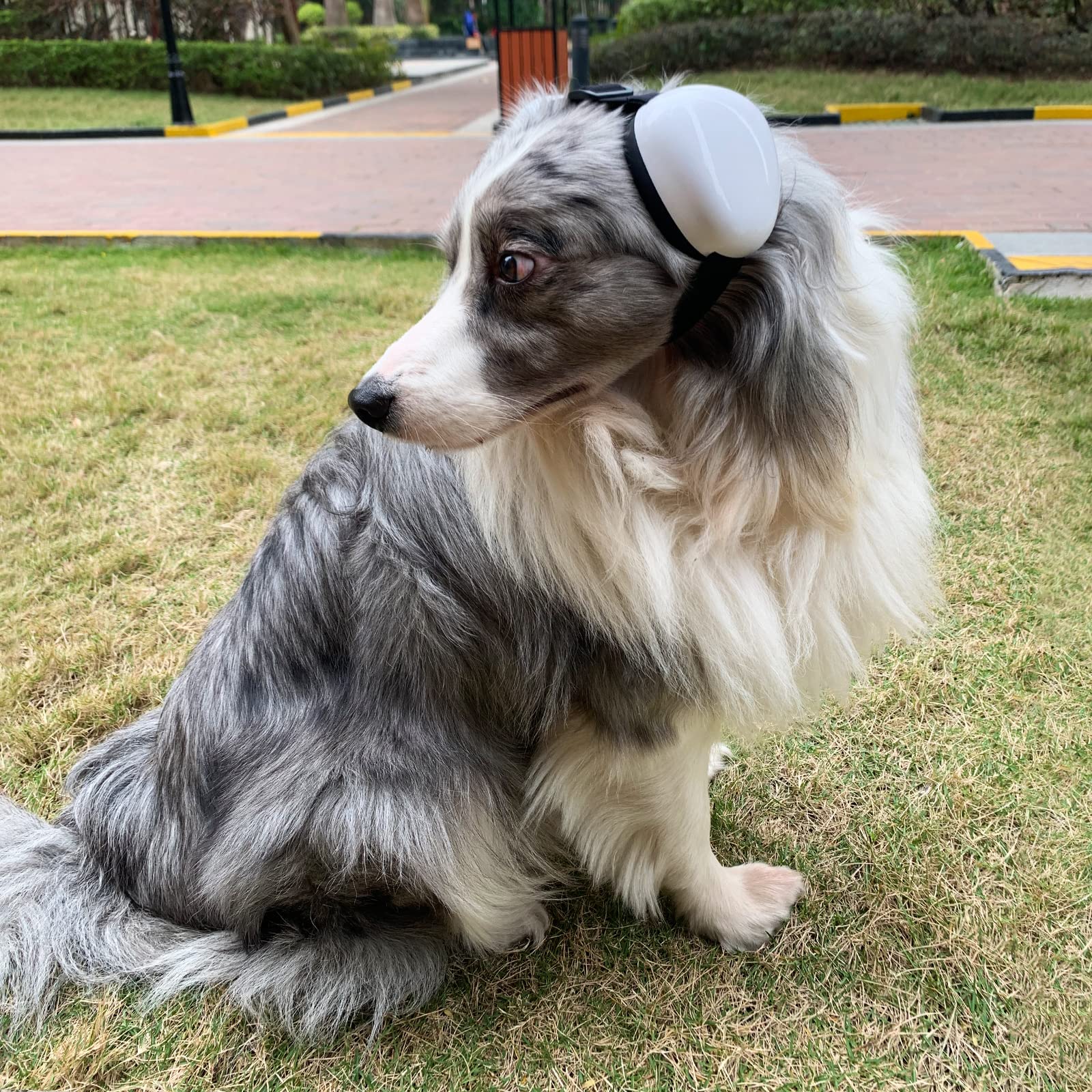 Deryep Dog Earmuffs For Hearing Protection 29Db Nrr Ear Muffs Noise Protection (Medium, White)