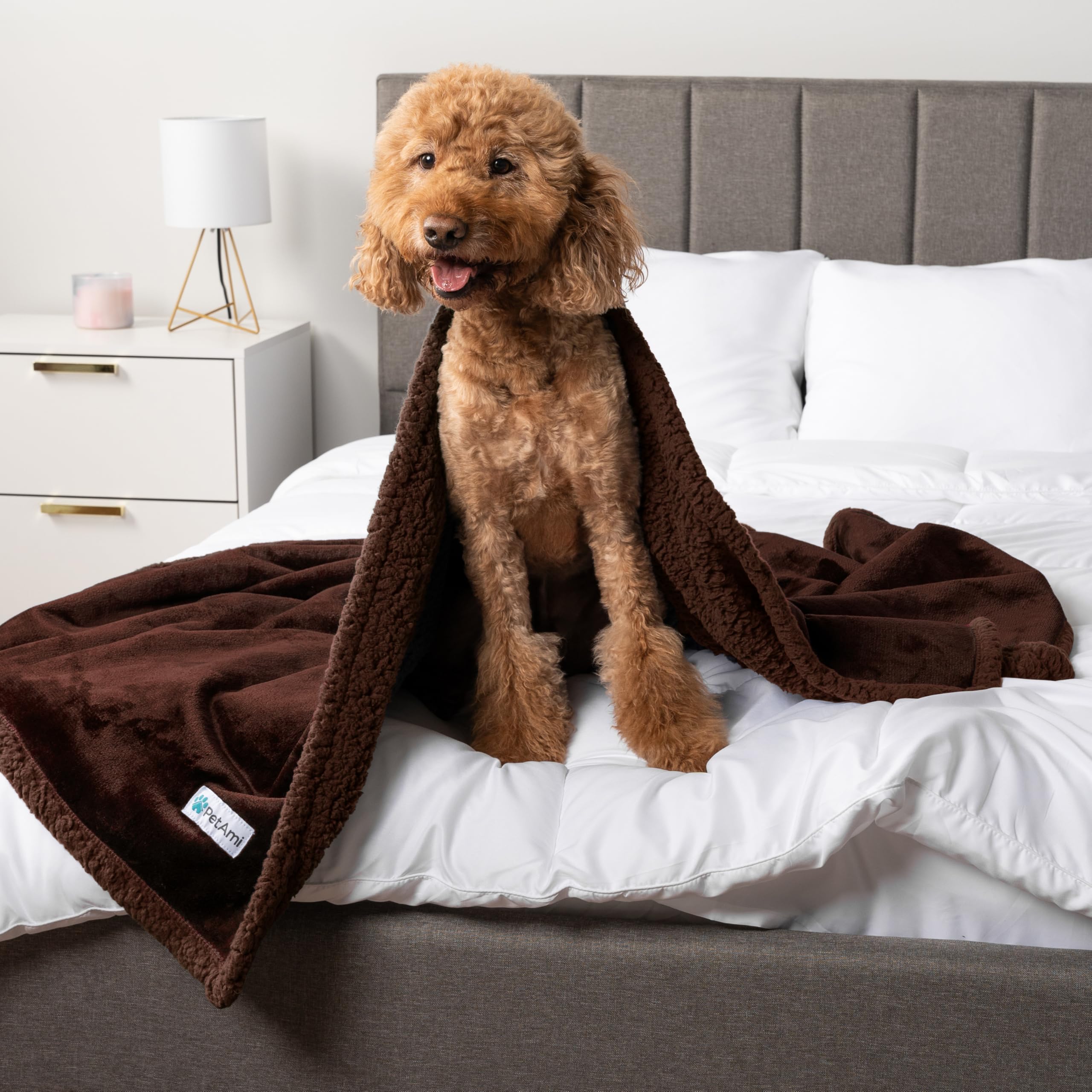 Petami Waterproof Dog Blanket For Bed, Xl Dog Pet Blanket Couch Cover Protection, Sherpa Fleece Leakproof Bed Blanket For Crate Kennel Sofa Furniture Protector, Reversible Soft Plush 80X60 Brown Brown