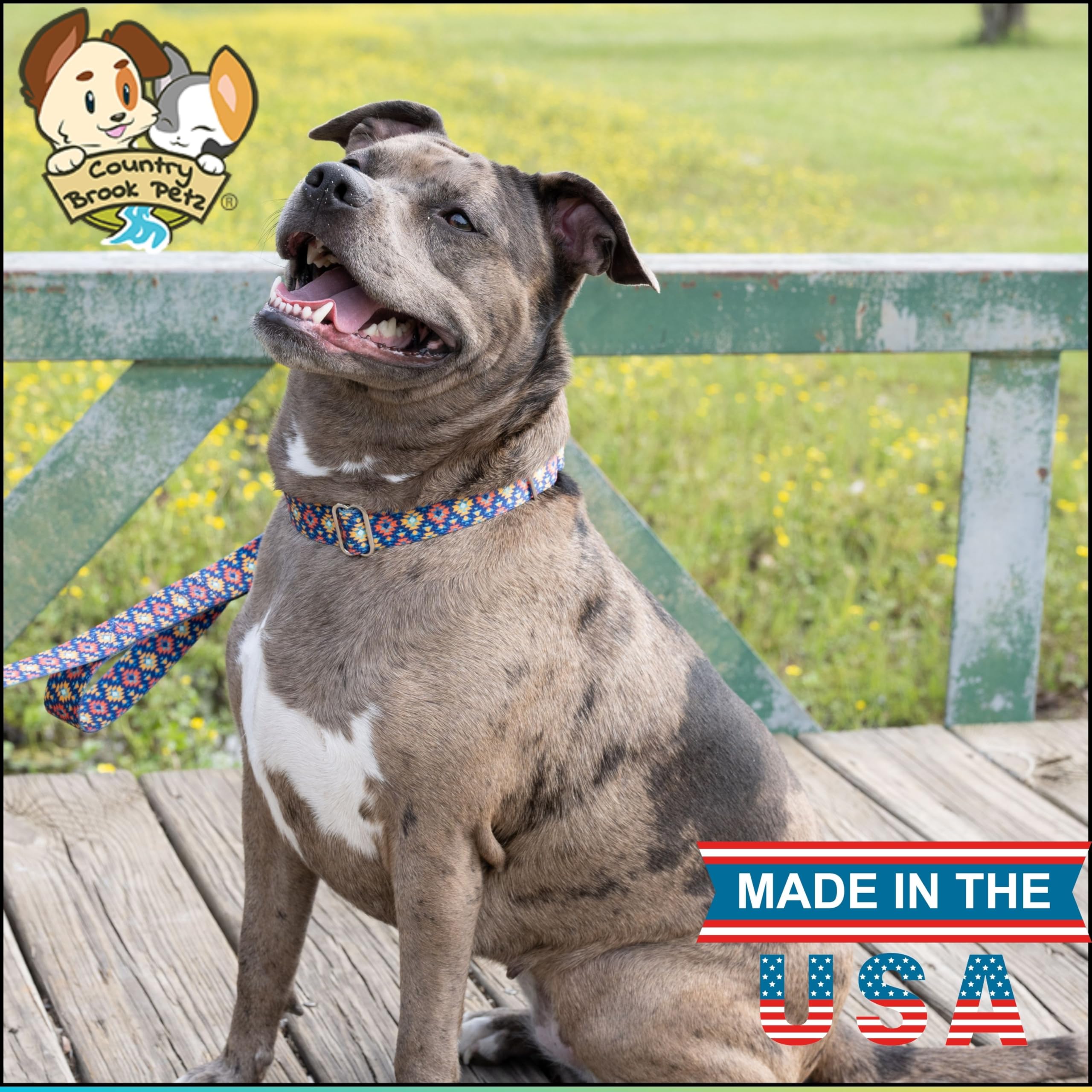 Country Brook Petz - Utah Martingale Dog Collar - Country And Western Collection Featuring Rustic Designs (1 Inch, Large)
