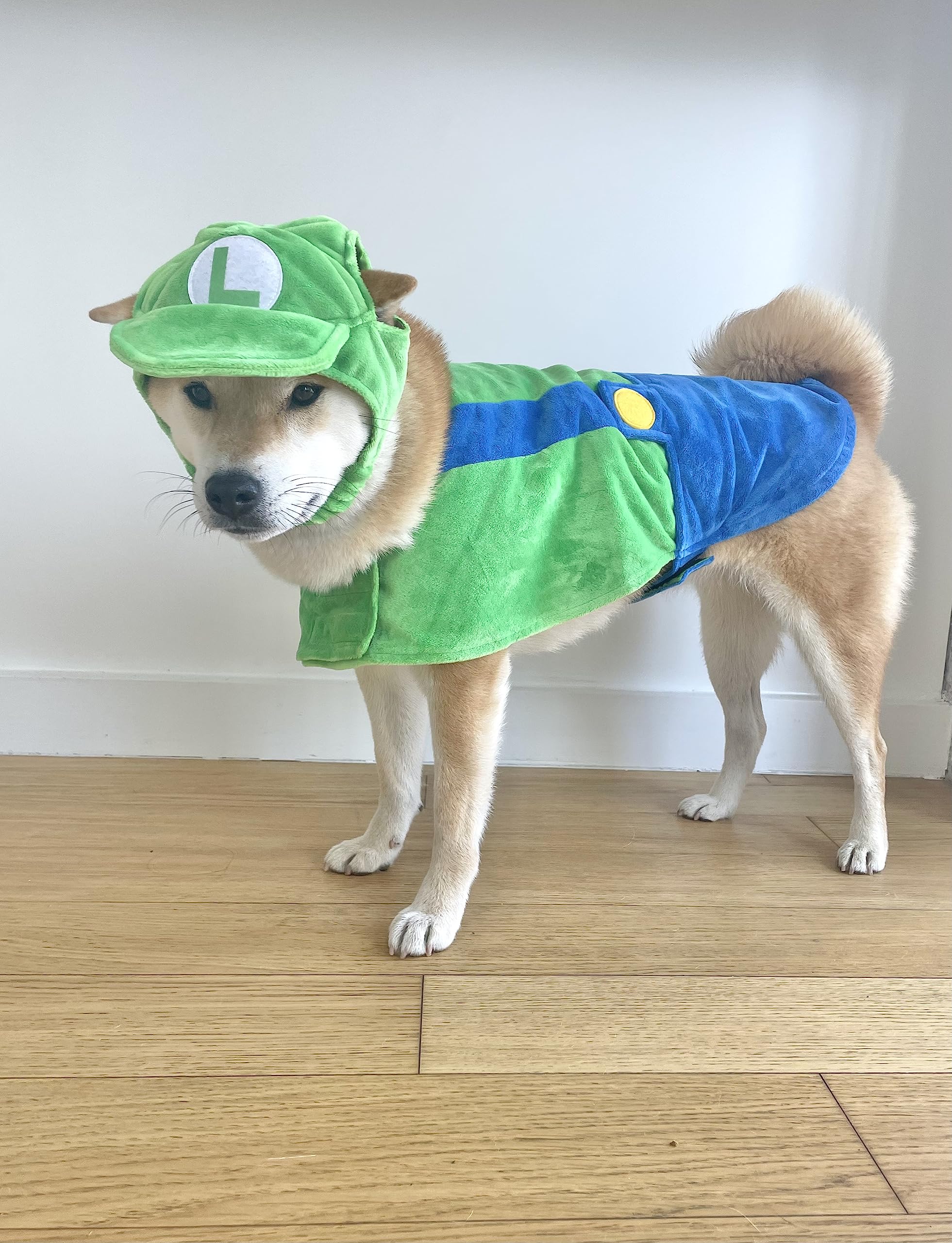 ComfyCamper Dog Costume - Hat & Suspenders, Large, Green, Polyester, X Large Medium Small Lab Star Space, Perfect for Halloween