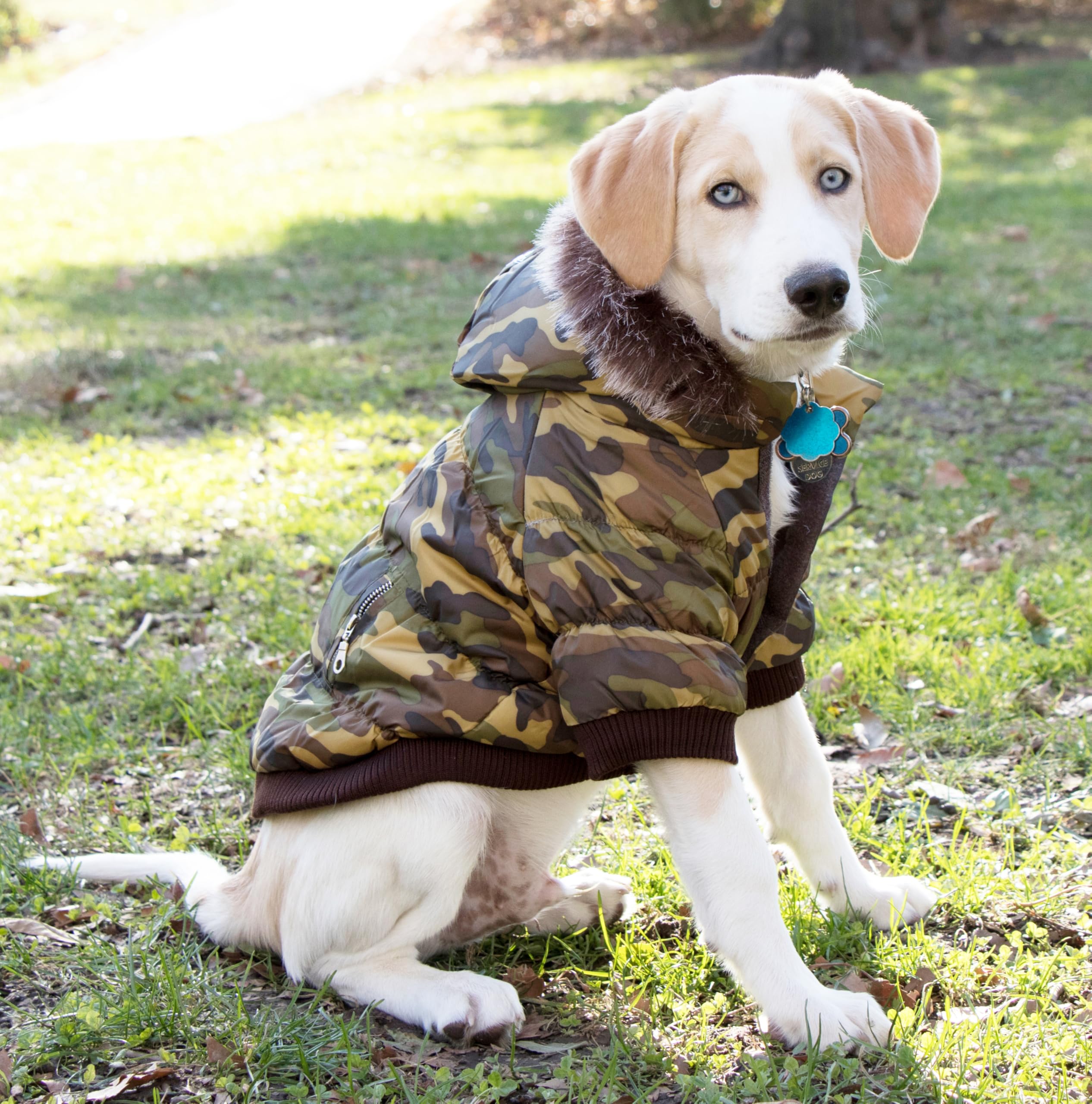 Pet Life  Classic Metallic Fashion Winter Pet Dog Coat Jacket Parka with 3M Insulation and Removable Hood