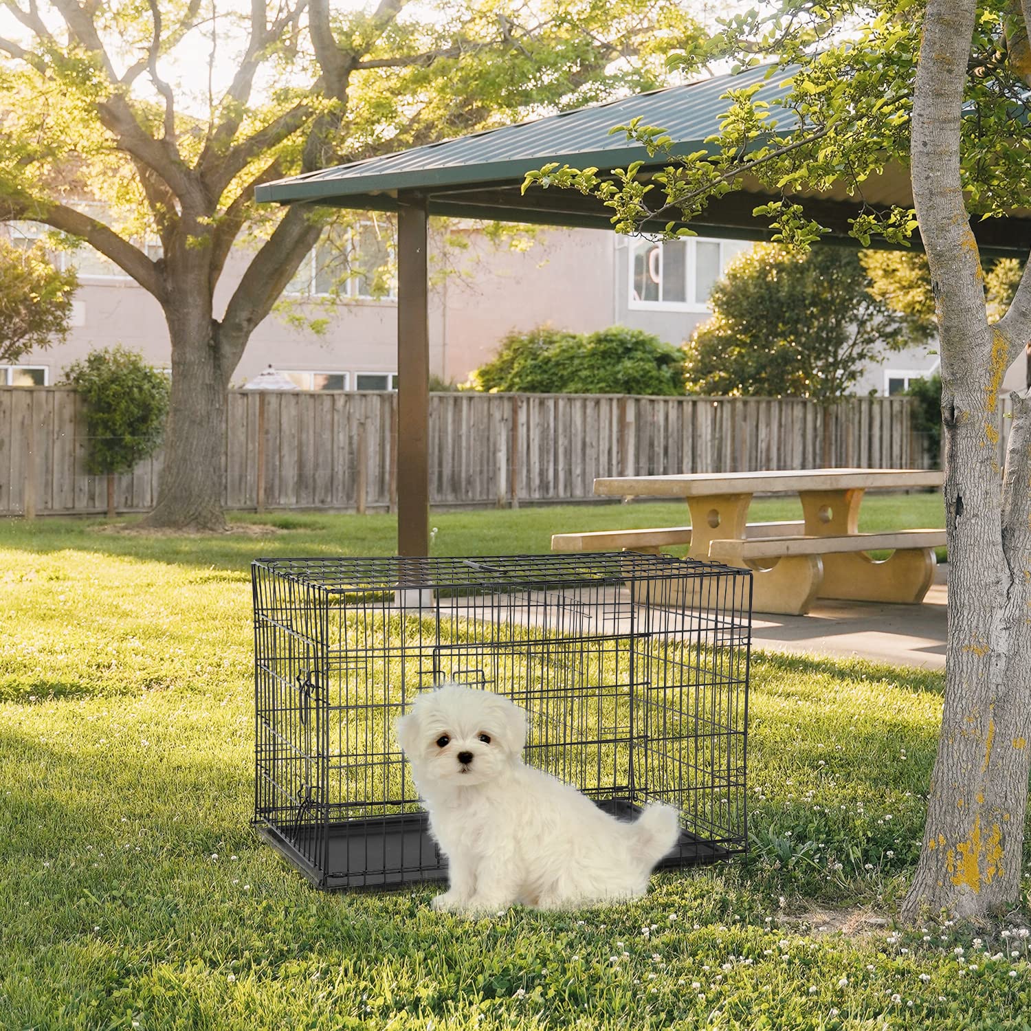 FDW Dog Crate for Small Dogs, 24" Folding Metal Wire Cage, Double Door, Black, with Divider Panel and Leak-Proof Tray