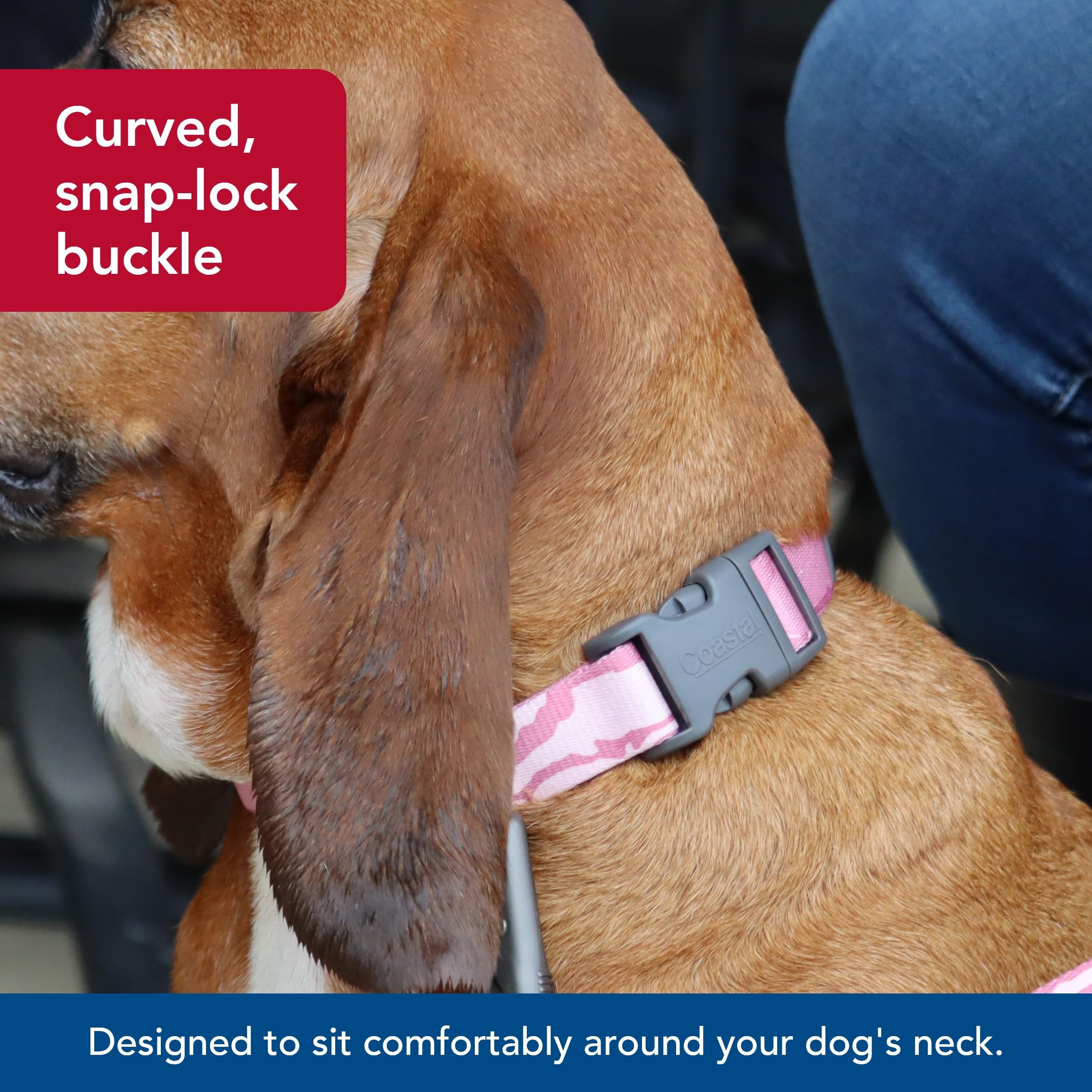 Coastal Pet - Water & Woods Adjustable Dog Collar - Durable Dog Collar With Curved Snap Lock Buckle - Patterned Collar For Dog - Stylish & Adjustable - Bottomland Pink, Medium - 1' X 14'-20'