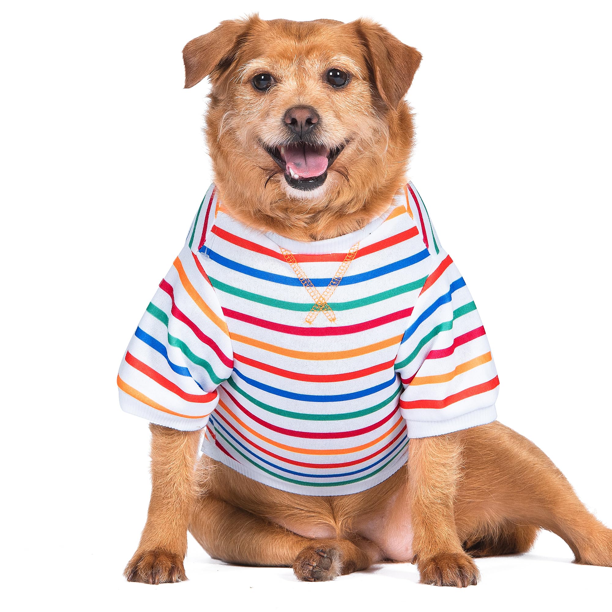 The Dodo Striped Crewneck Sweatshirt for Dogs, Size Large, Everyday Apparel for Dogs, Cute Dog Tee, Cute Clothes
