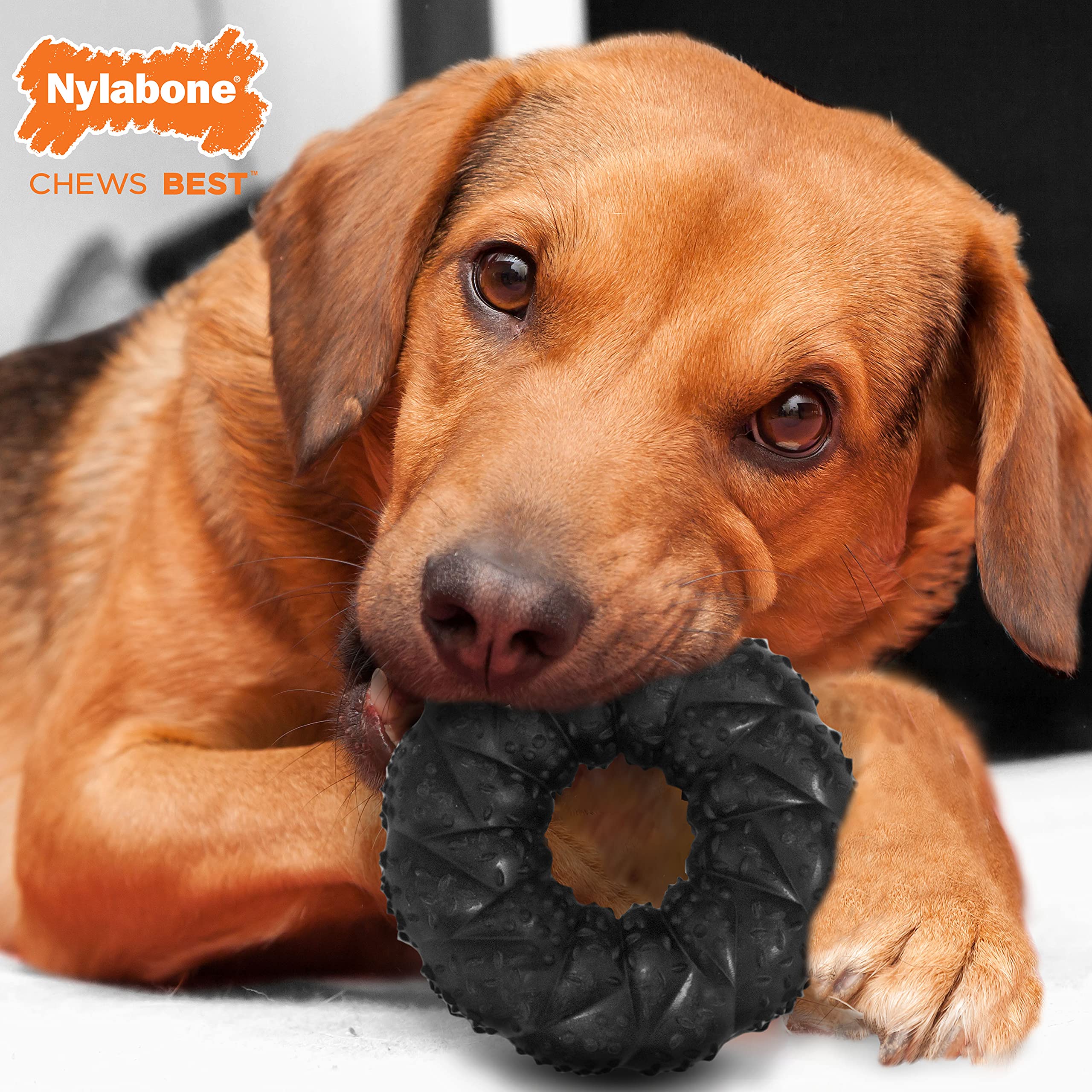 Nylabone Strong Max Braided Dog Ring Chew Toy Max Ring Beef Medium/Wolf (1 Count)