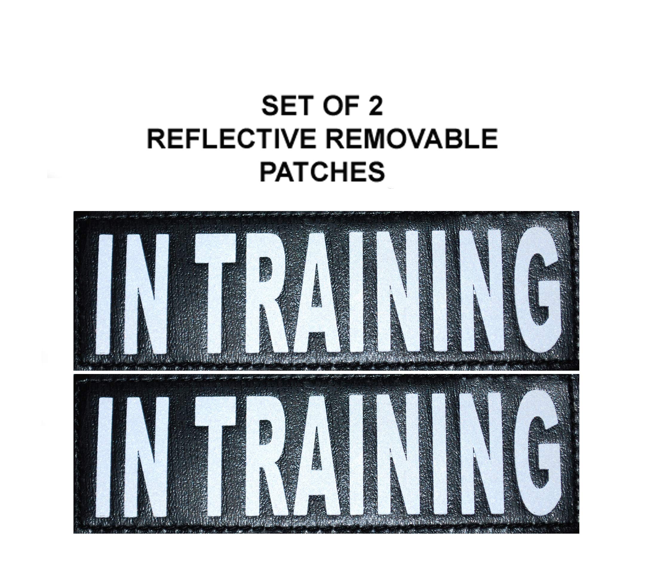 In Training Service Dog Mesh Vest Harness Cool Comfort Nylon For Dogs Small Medium Large Purchase Comes With 2 Reflective In Training Removable Patches (Girth 21-24', Purple)